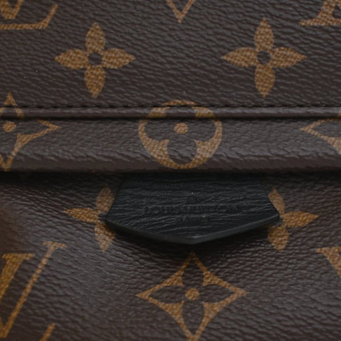 Louis Vuitton Monogram Mini Palm Springs