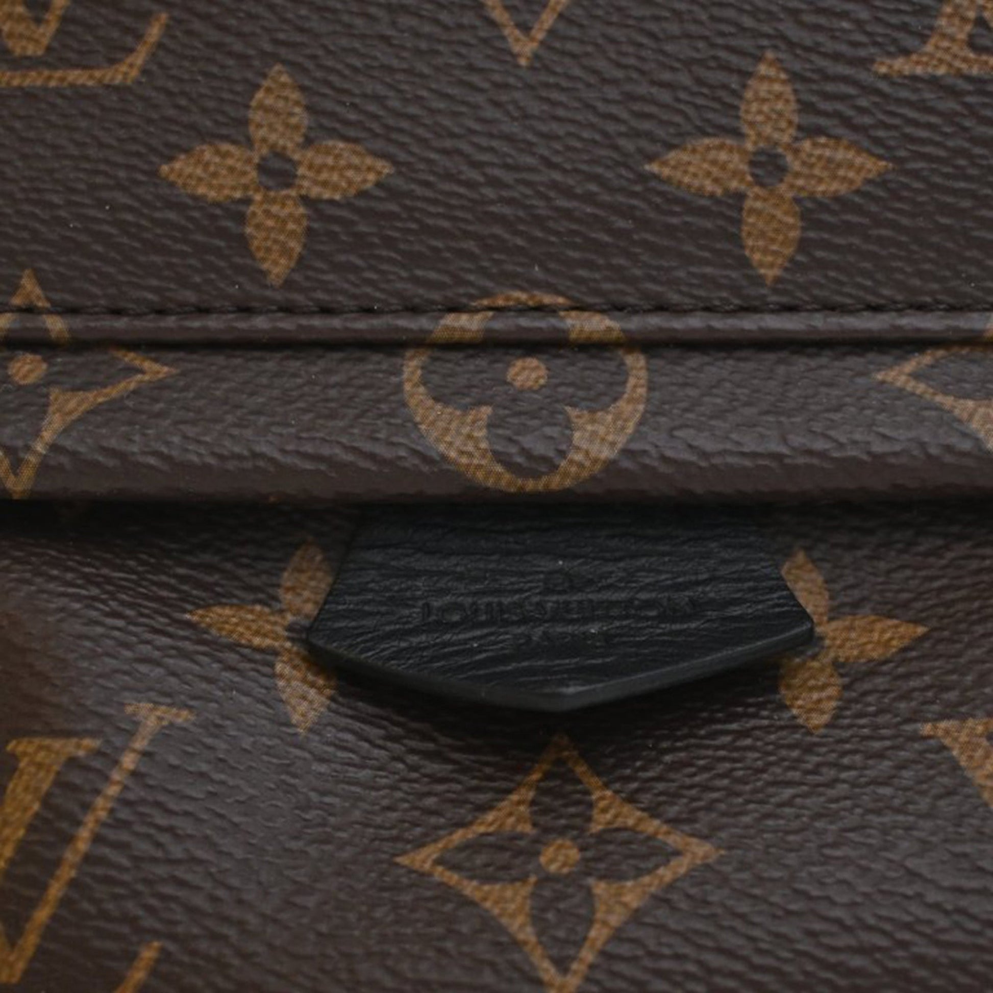 Louis Vuitton Monogram Mini Palm Springs