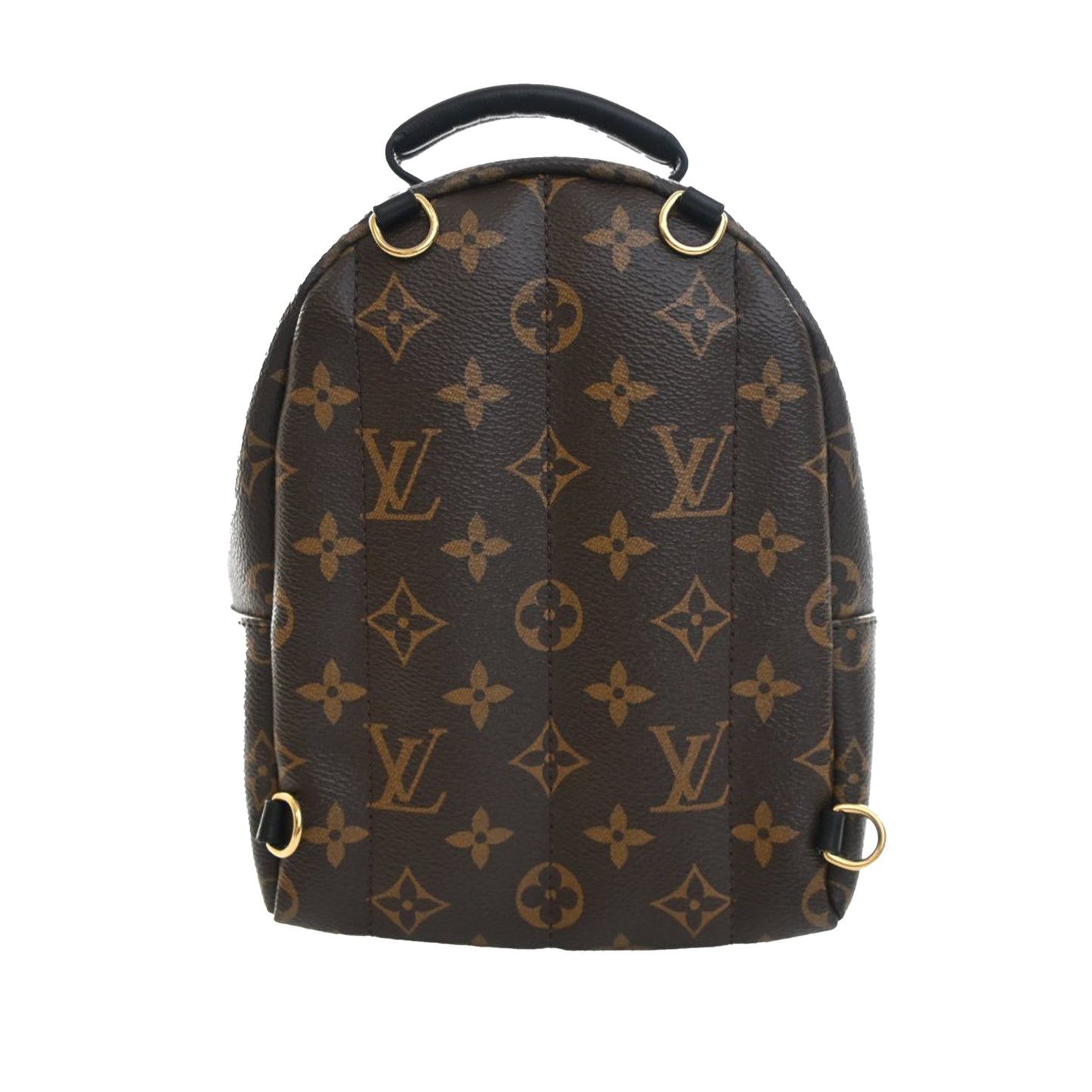 Louis Vuitton Monogram Mini Palm Springs