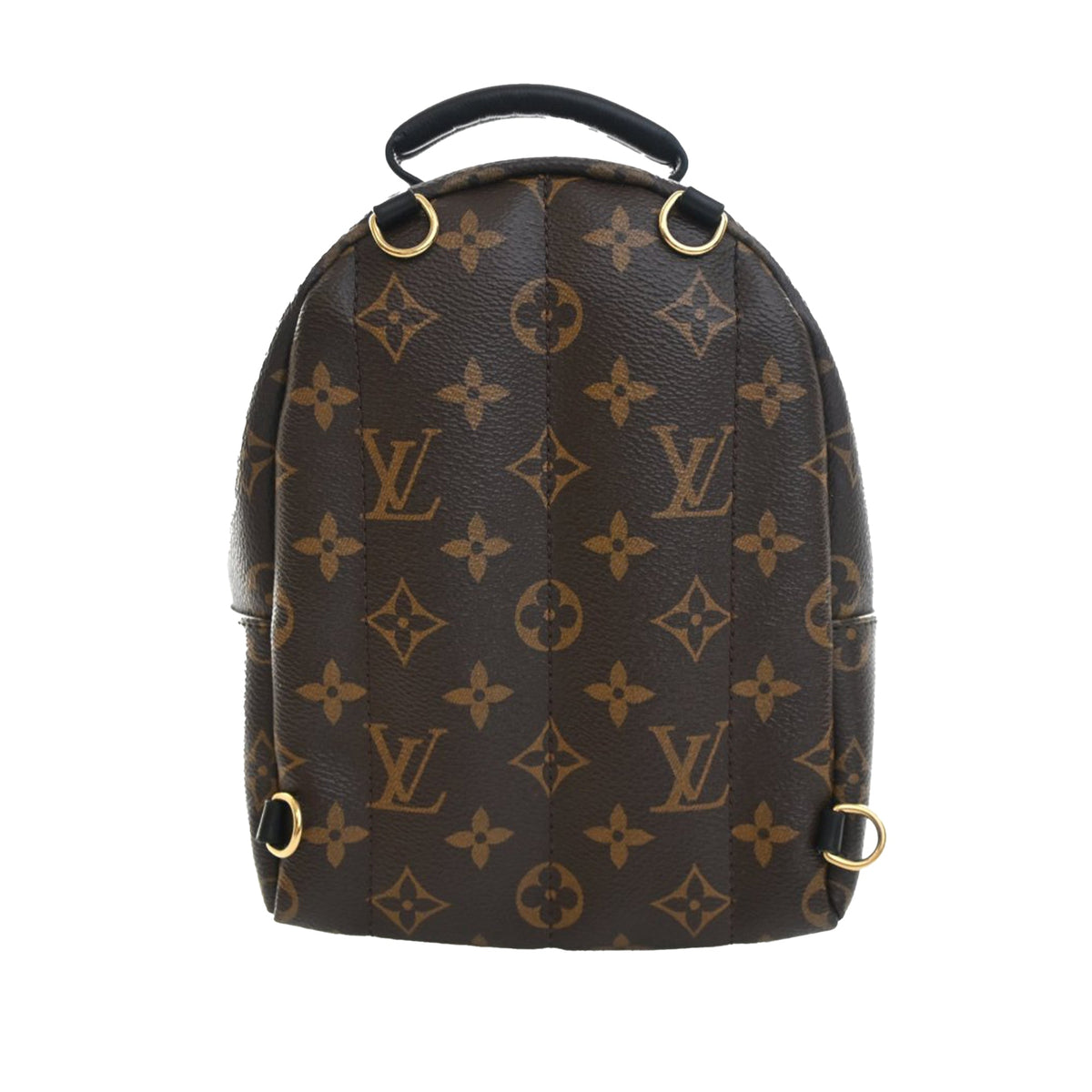 Louis Vuitton Monogram Mini Palm Springs