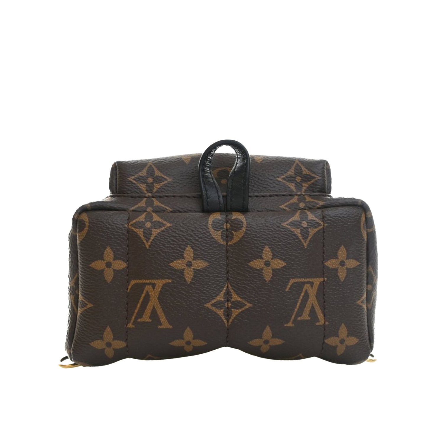 Louis Vuitton Monogram Mini Palm Springs
