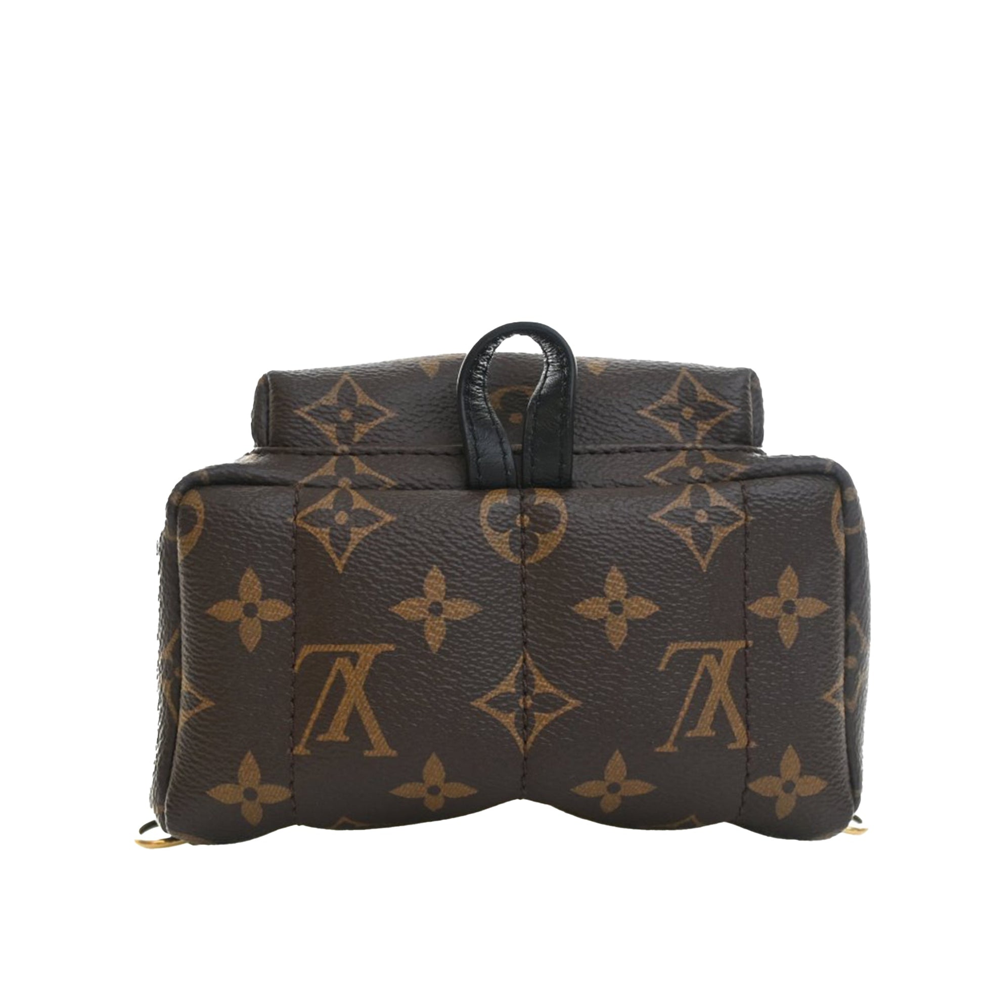 Louis Vuitton Monogram Mini Palm Springs