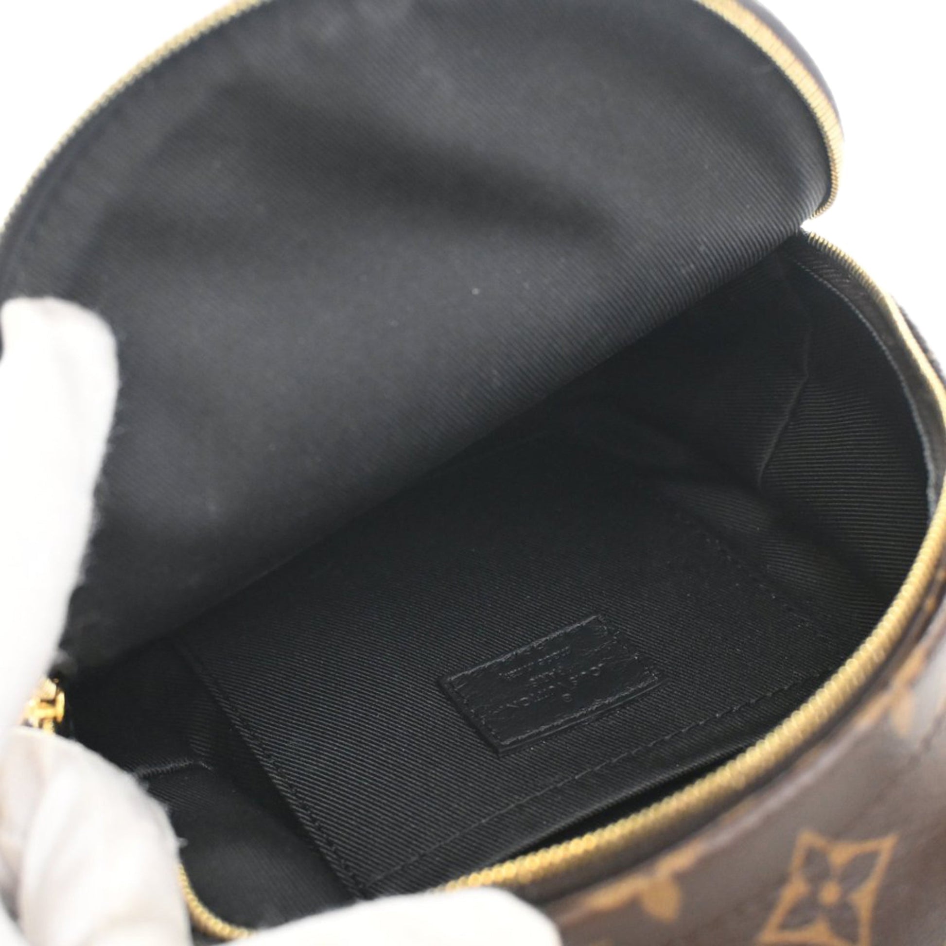 Louis Vuitton Monogram Mini Palm Springs
