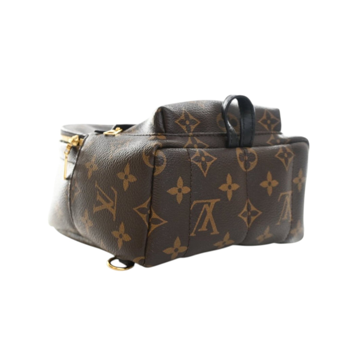 Louis Vuitton Monogram Mini Palm Springs