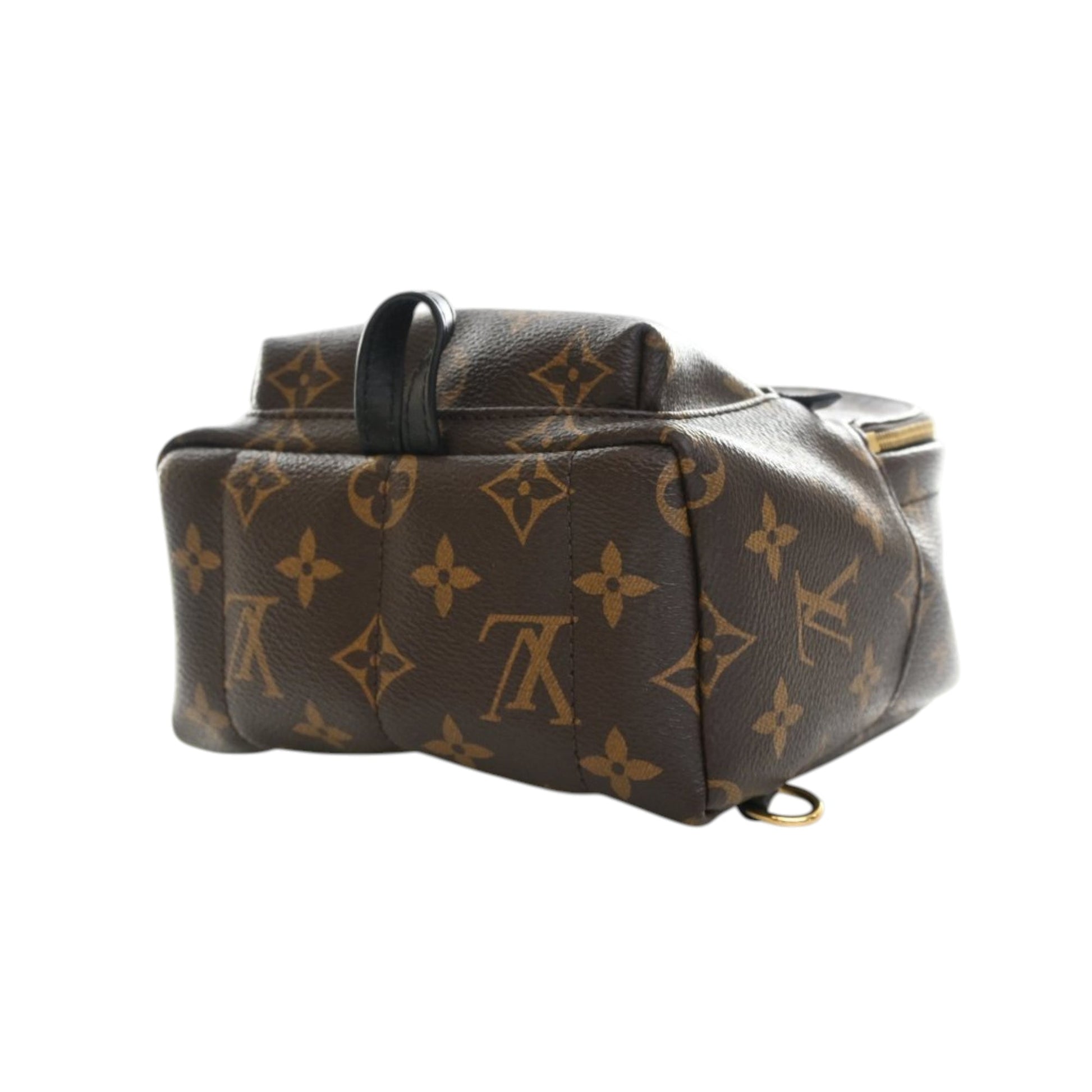 Louis Vuitton Monogram Mini Palm Springs