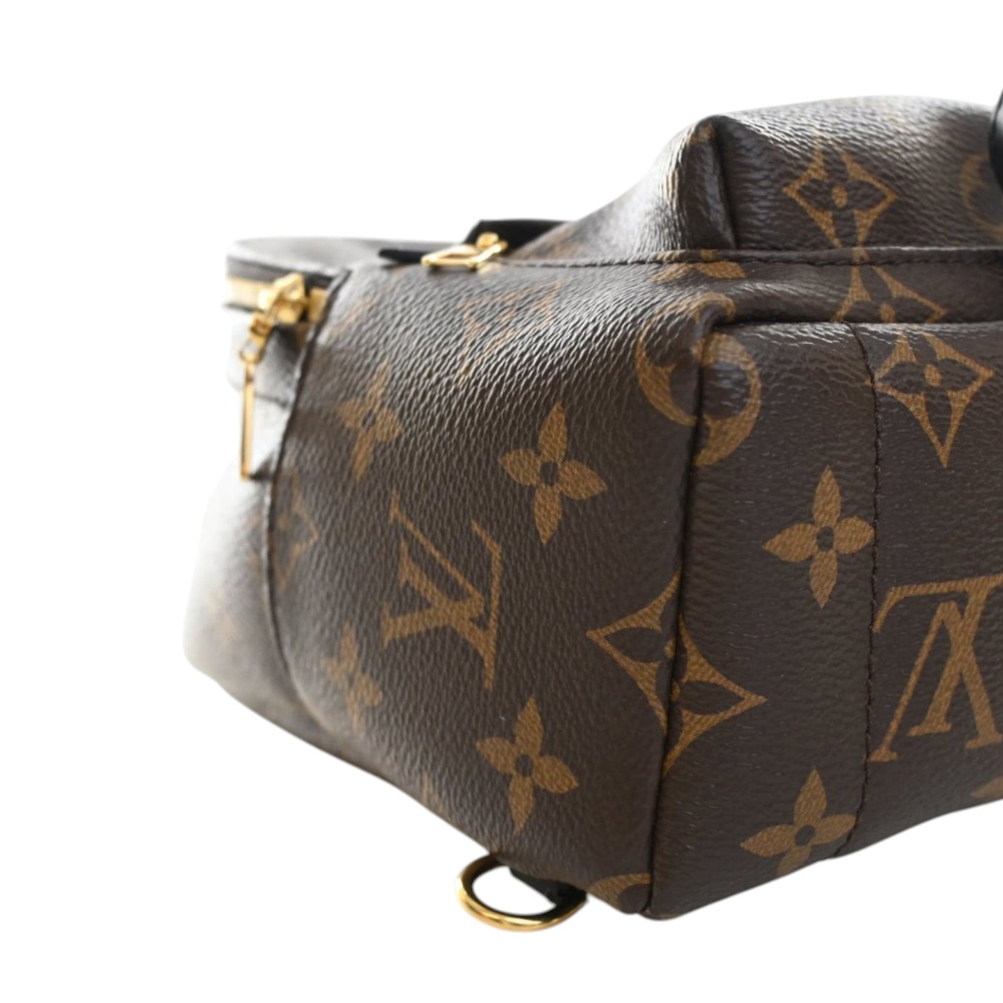 Louis Vuitton Monogram Mini Palm Springs