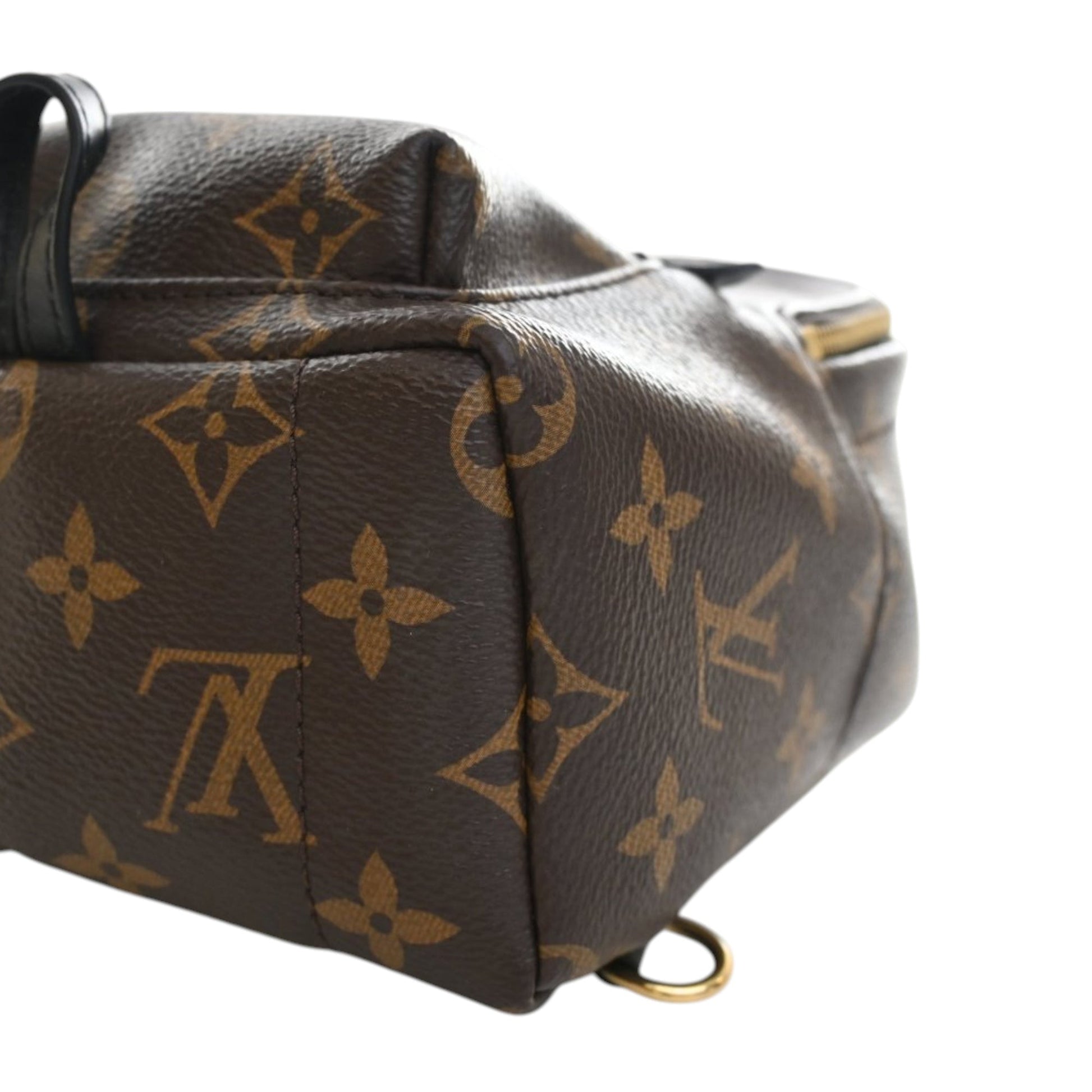 Louis Vuitton Monogram Mini Palm Springs
