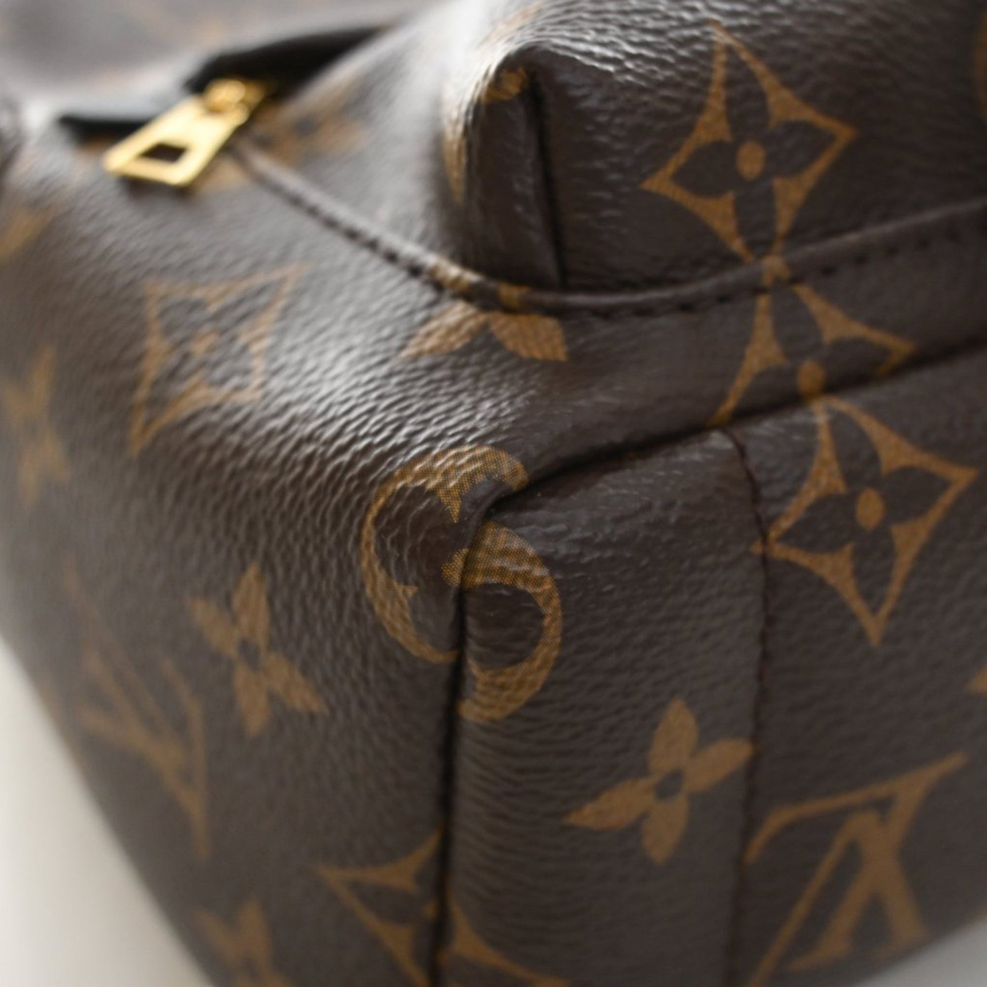 Louis Vuitton Monogram Mini Palm Springs