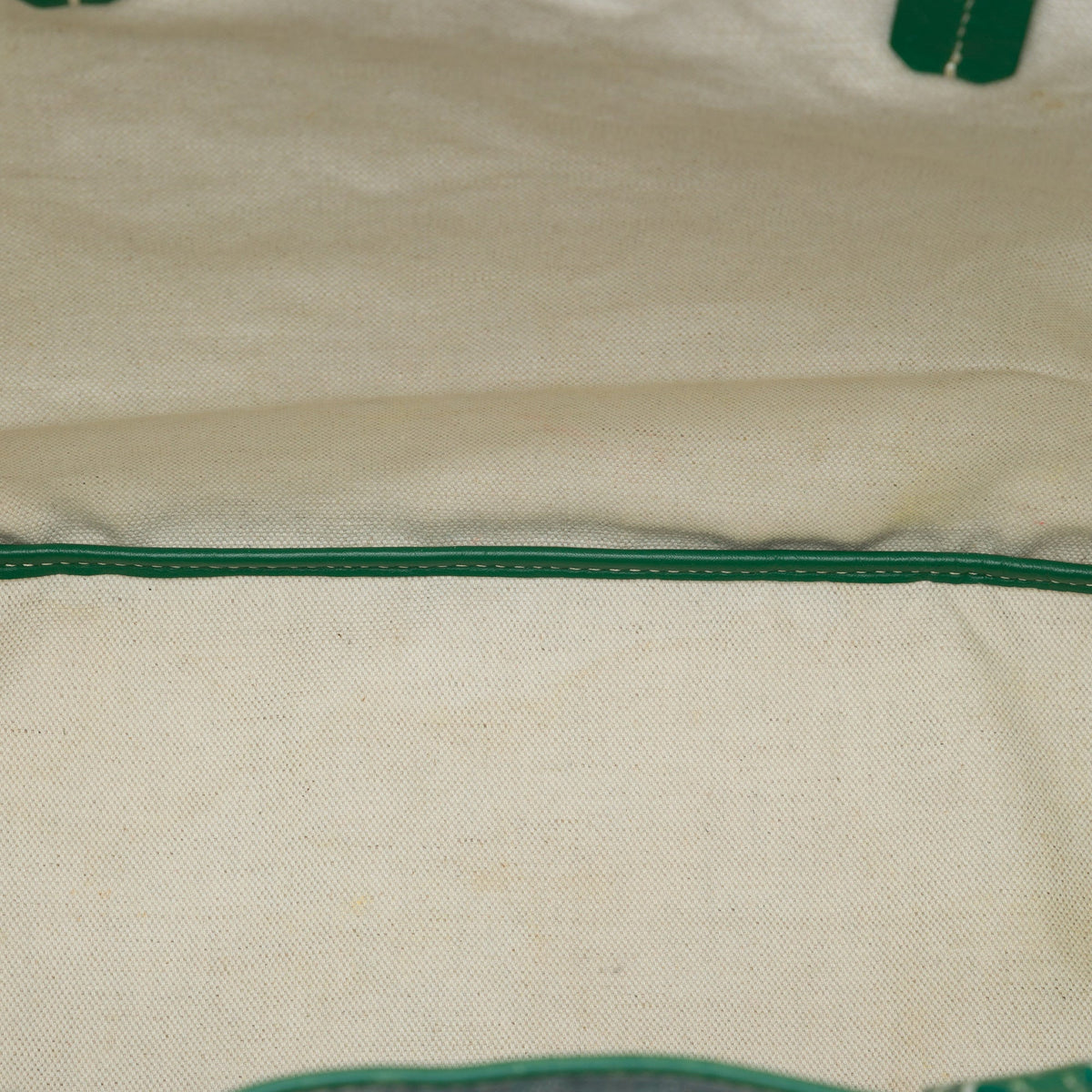 Goyard Goyardine Saint Louis PM — Green
