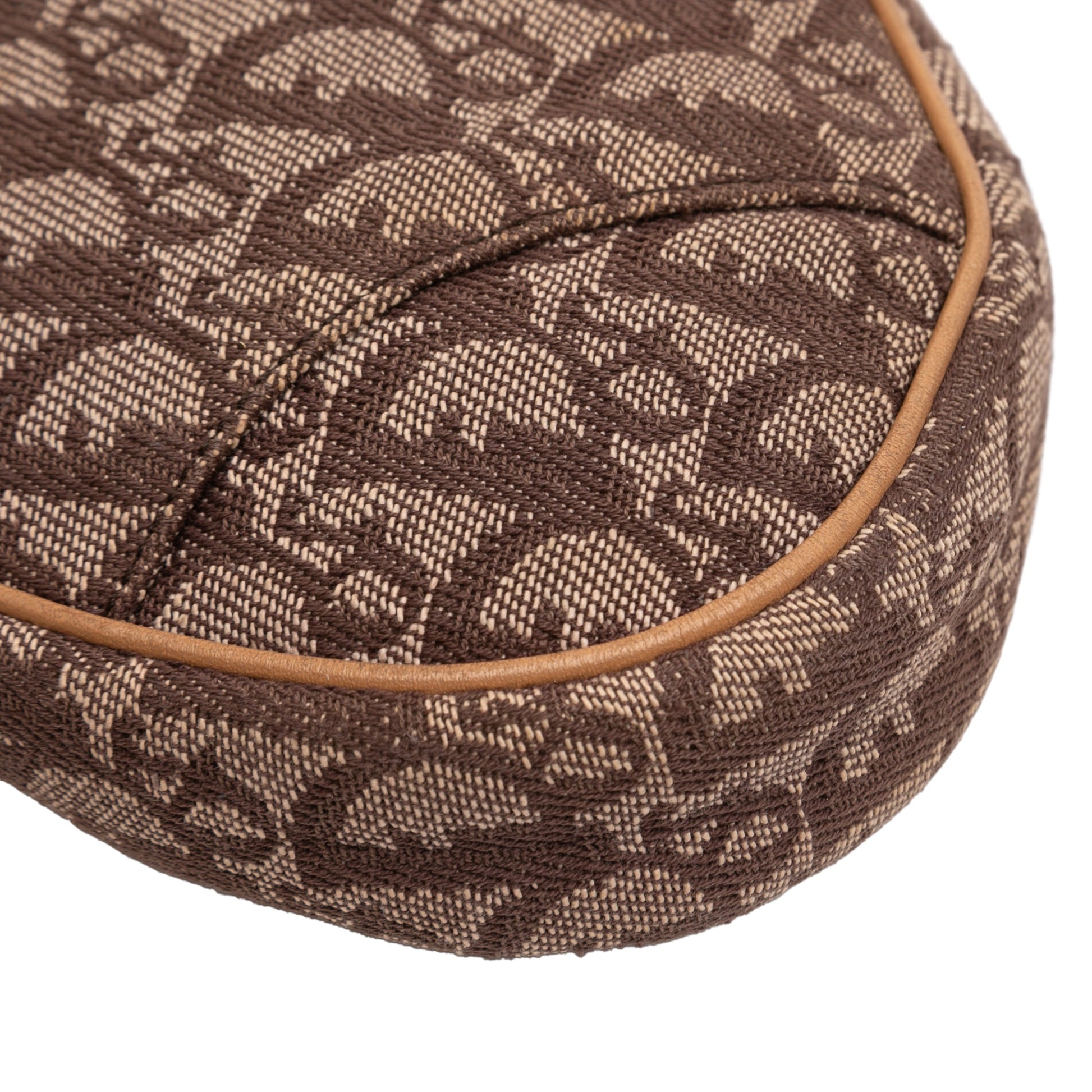 Dior Mini Diorissimo Canvas Saddle Pochette