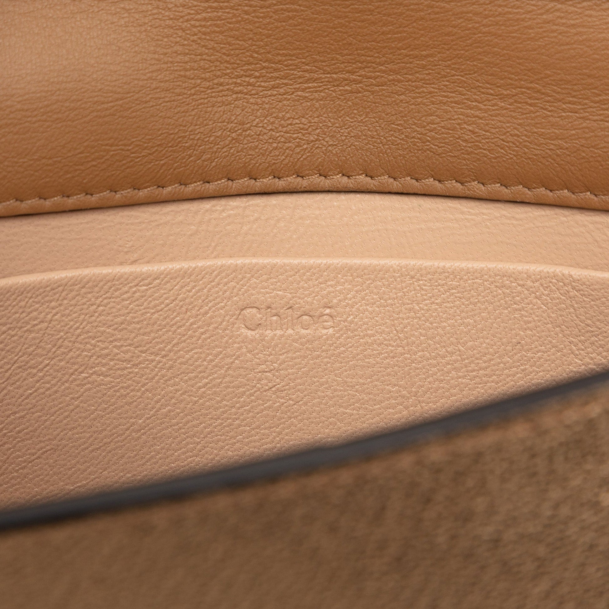 Chloé Metallic Leather Nile Bracelet Minaudiere Bag