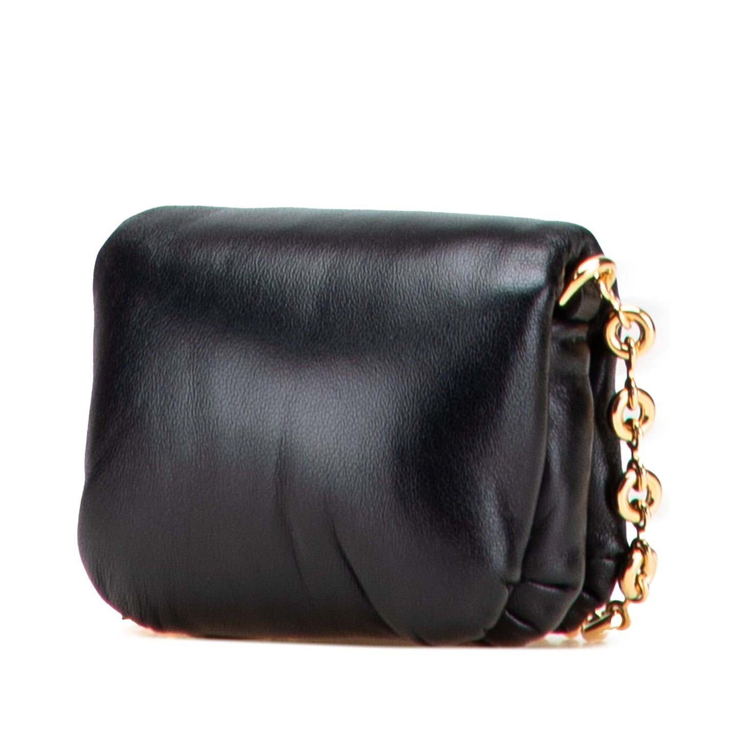 LOEWE Shiny Lambskin Goya Puffer Case
