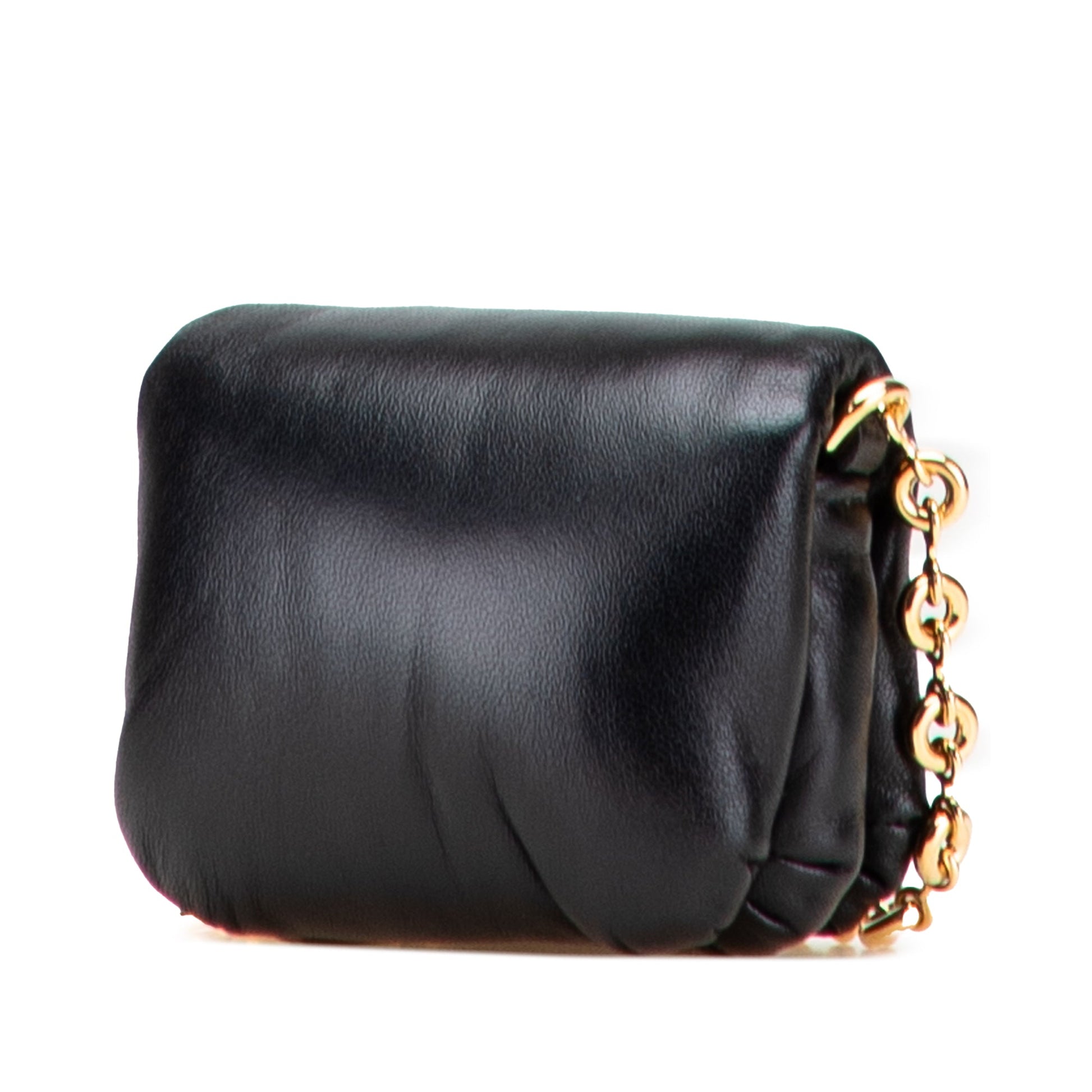LOEWE Shiny Lambskin Goya Puffer Case