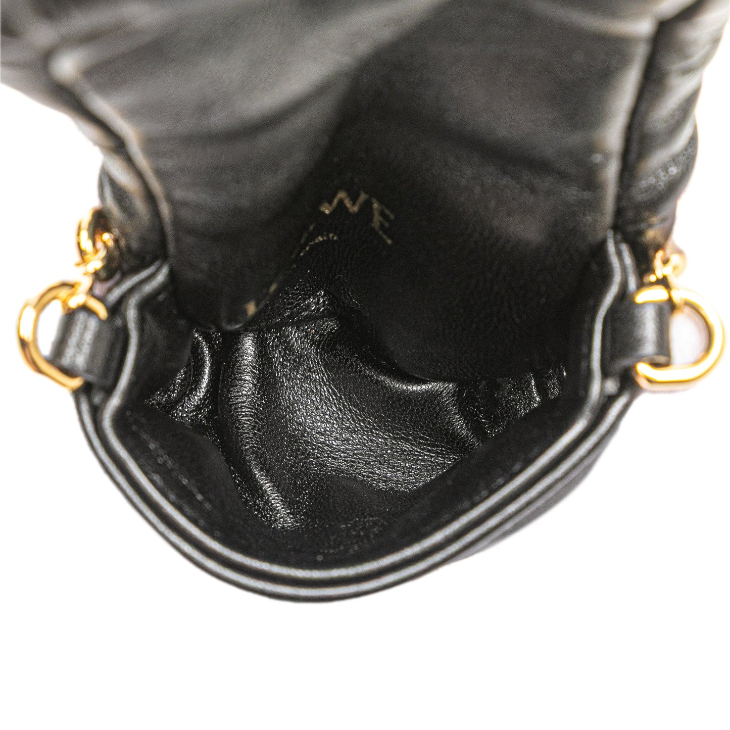 LOEWE Shiny Lambskin Goya Puffer Case