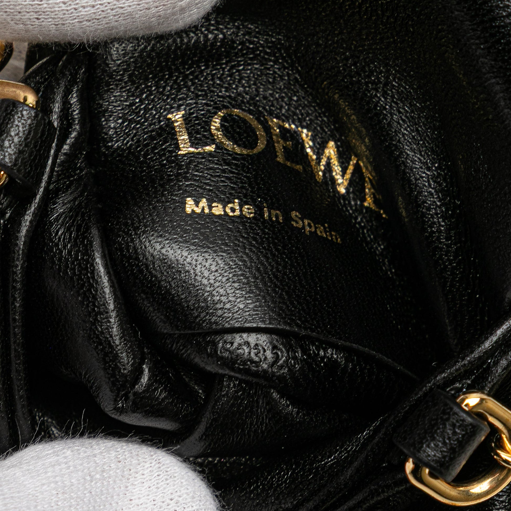 LOEWE Shiny Lambskin Goya Puffer Case