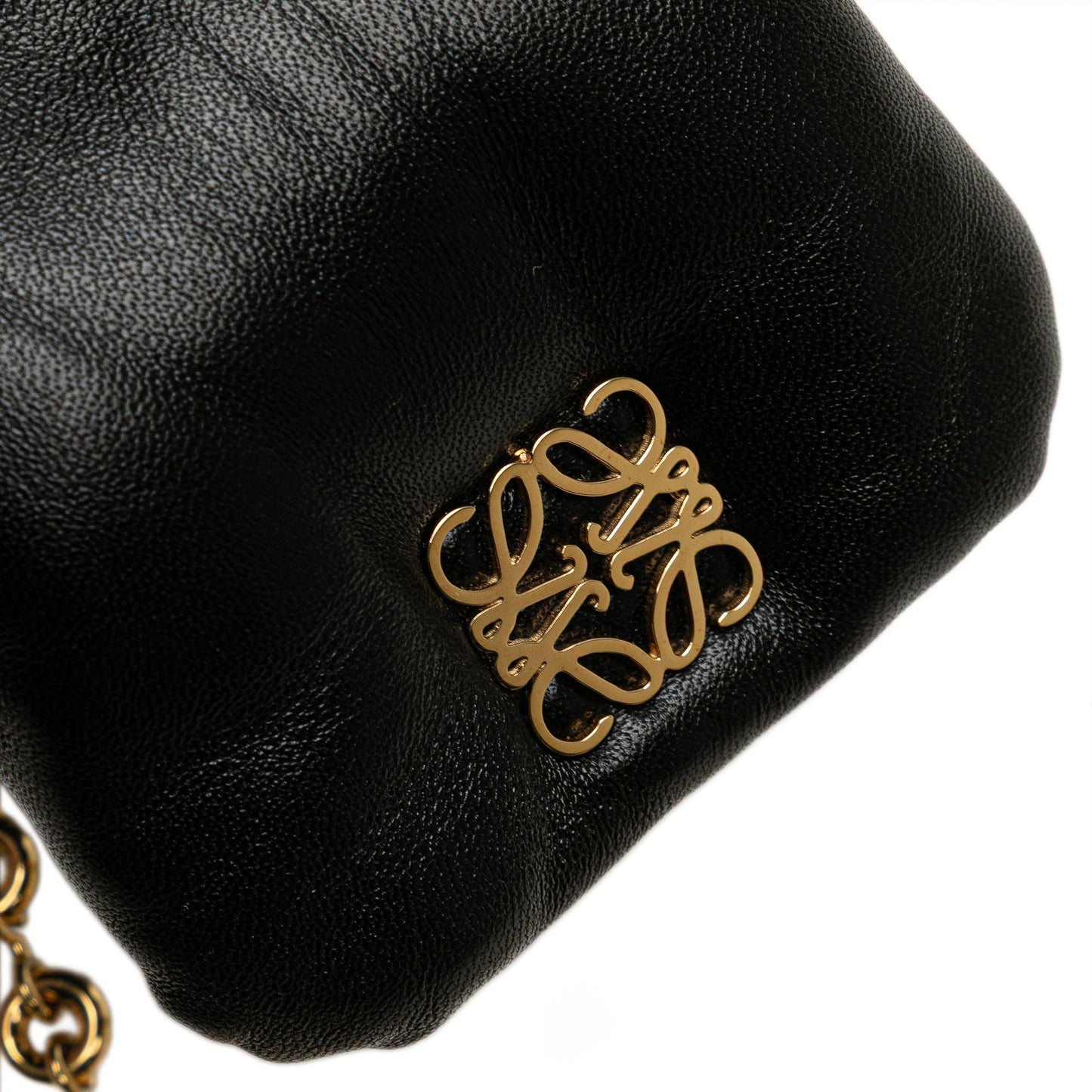 LOEWE Shiny Lambskin Goya Puffer Case
