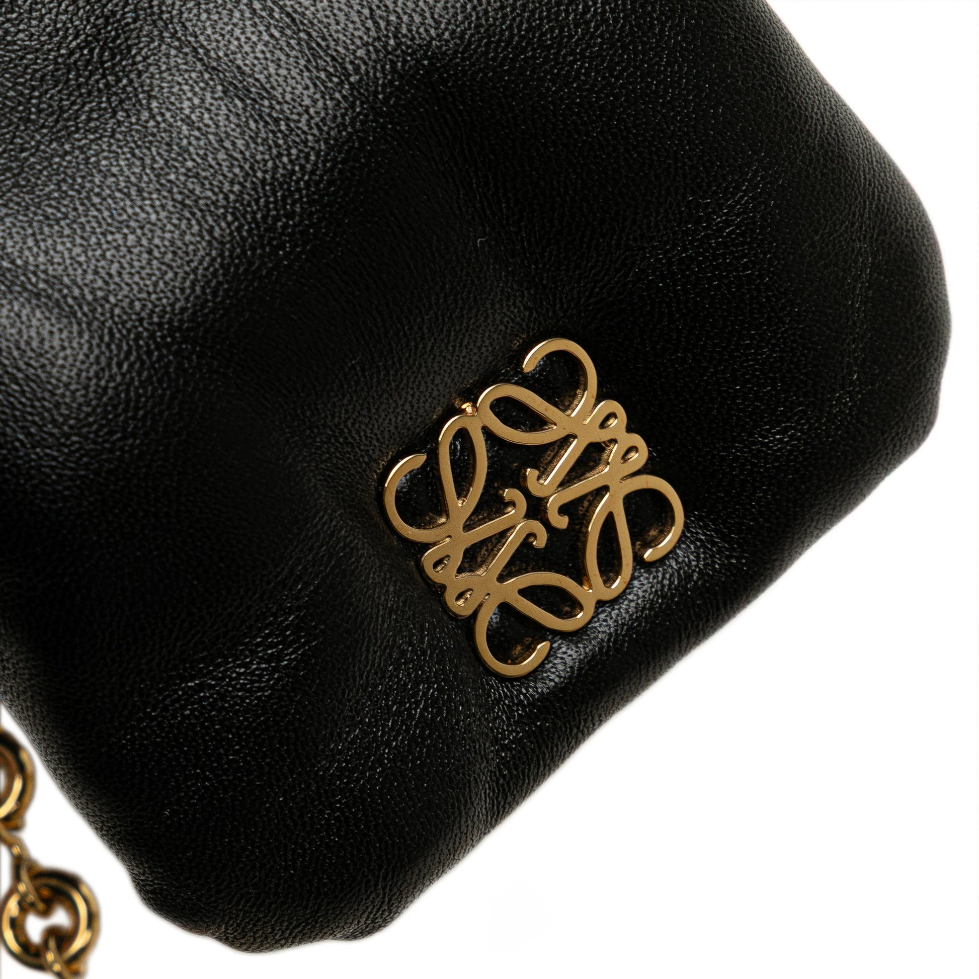 LOEWE Shiny Lambskin Goya Puffer Case