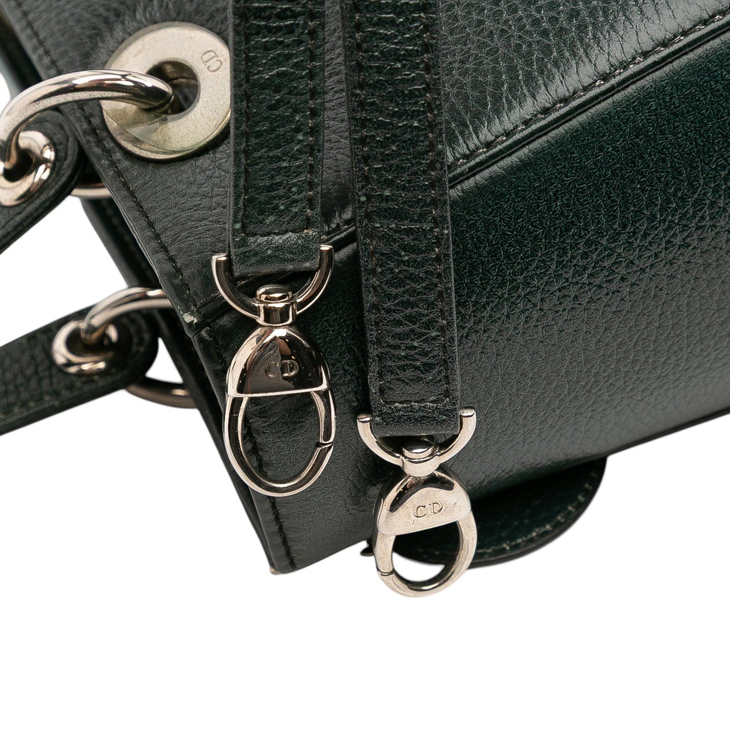 Dior Medium Deerskin Floral Print Lady Dior