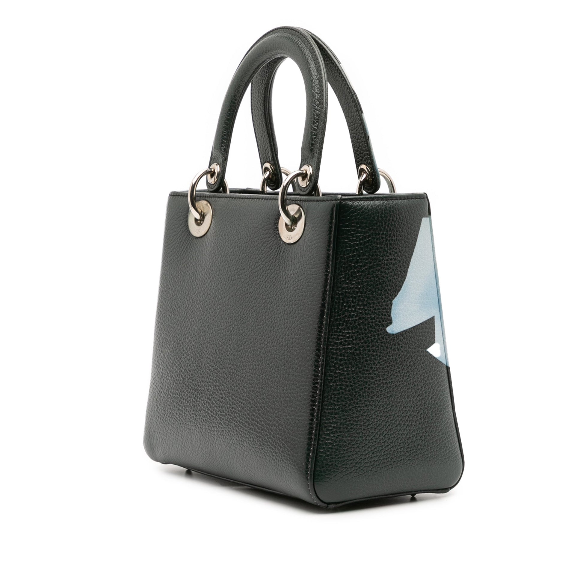 Dior Medium Deerskin Floral Print Lady Dior