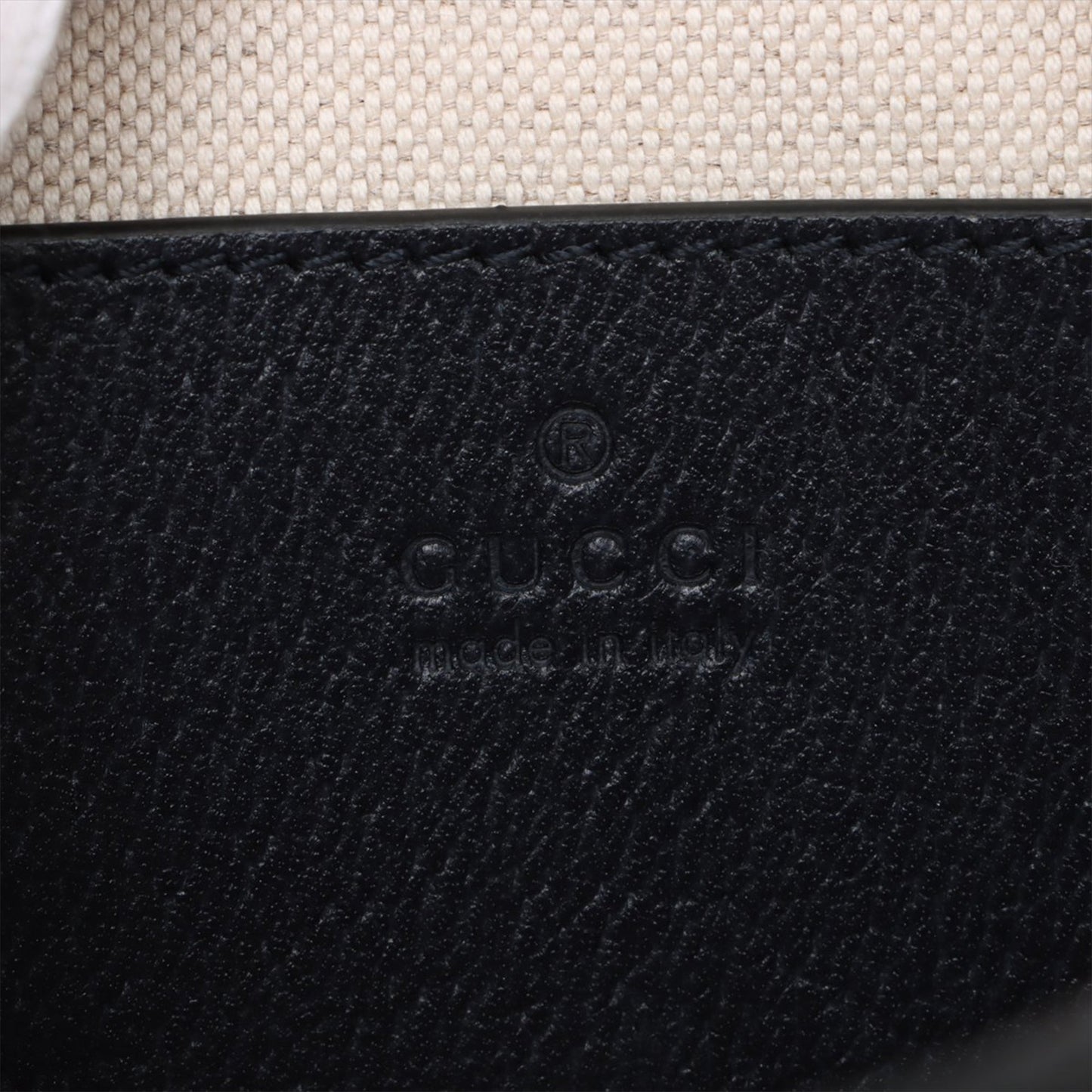 Gucci Small GG Supreme Textured Calfskin Web Ophidia Camera Bag