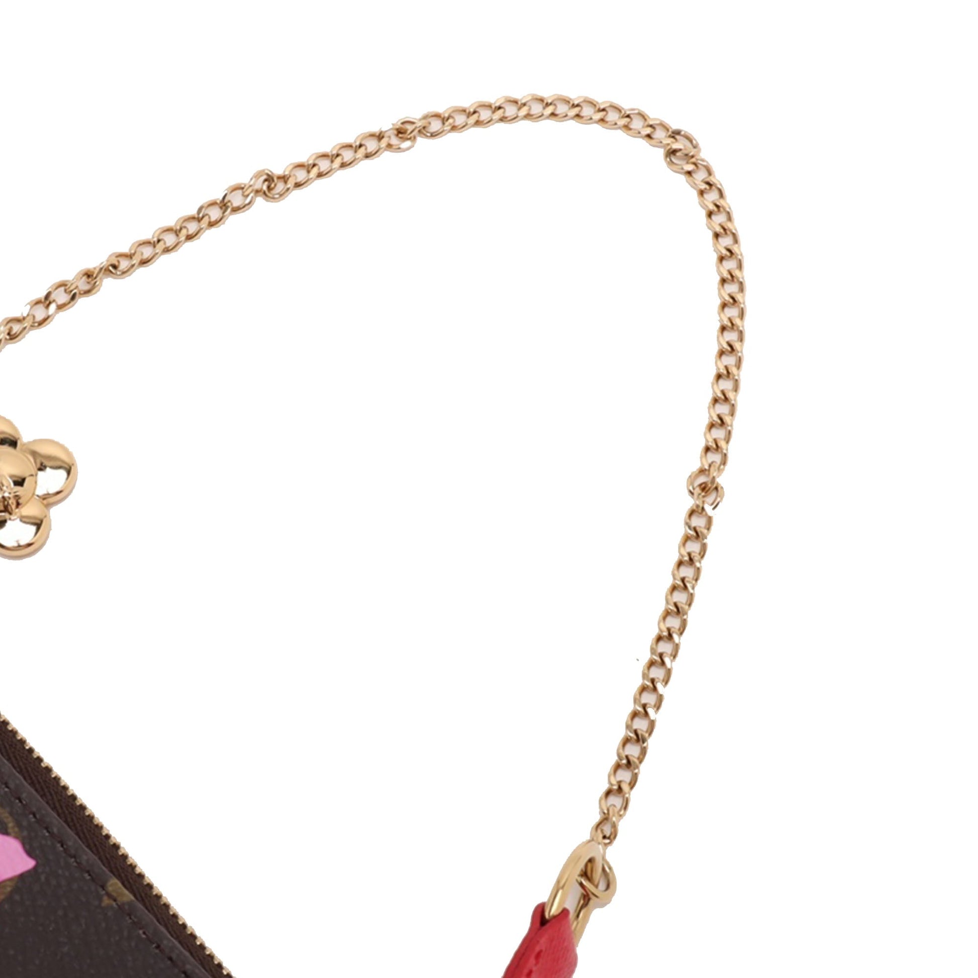 Louis Vuitton Louis Vuitton Monogram Mini Pochette Accessoires M12205 Brown