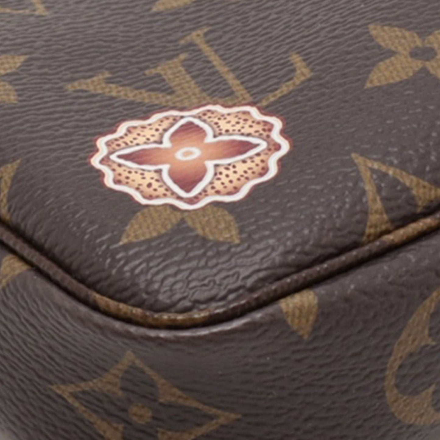 Louis Vuitton Louis Vuitton Monogram Mini Pochette Accessoires M12205 Brown