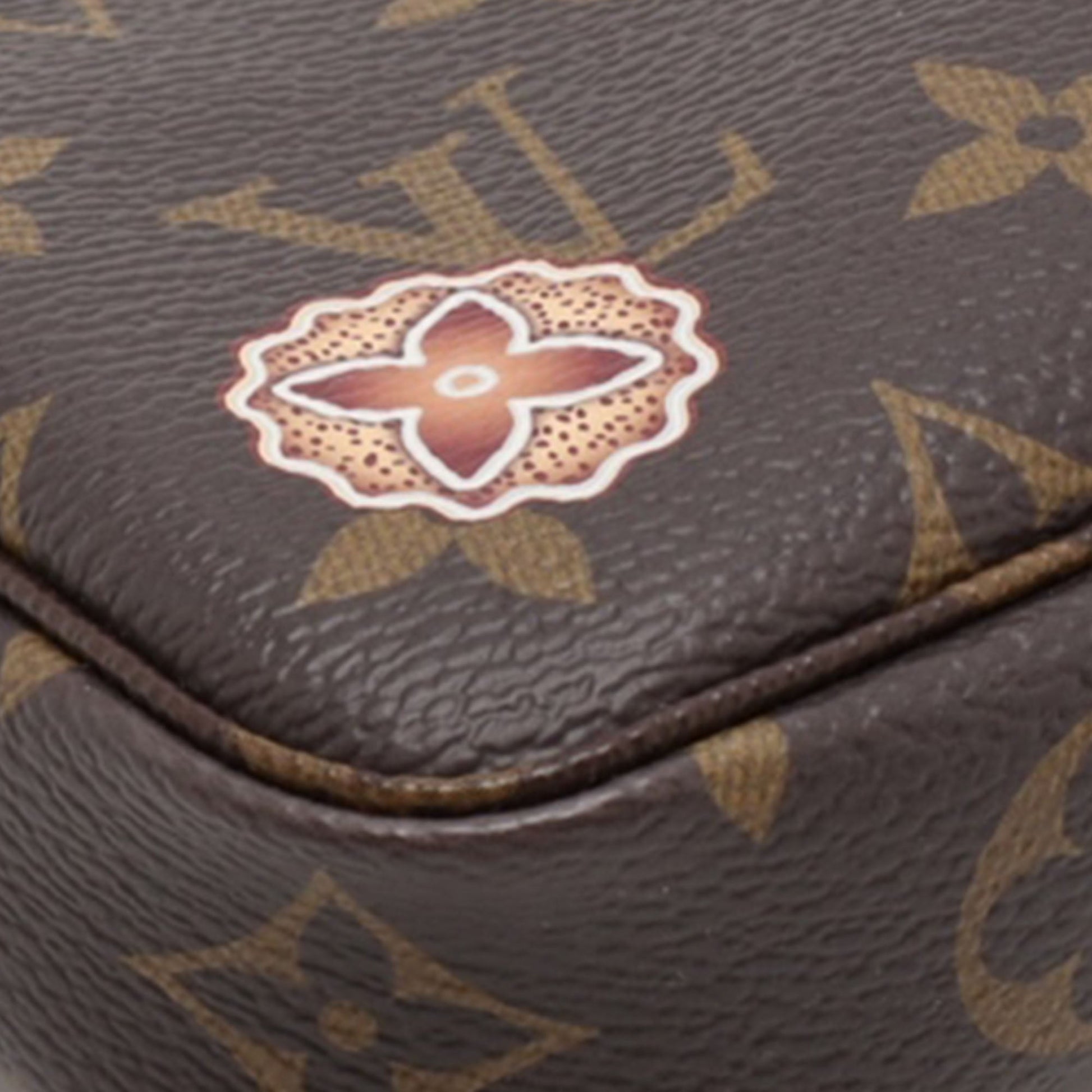 Louis Vuitton Louis Vuitton Monogram Mini Pochette Accessoires M12205 Brown