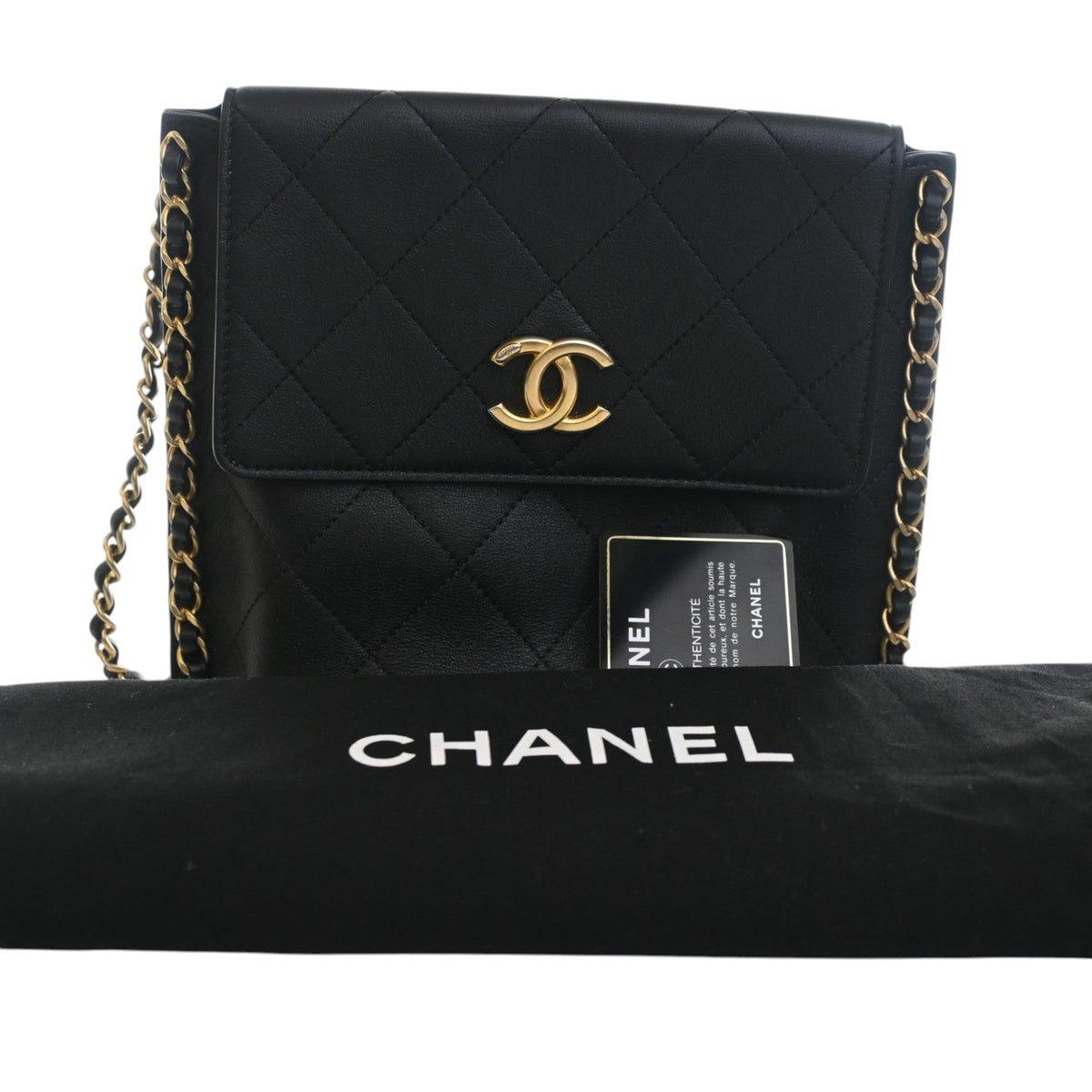 Chanel Small Quilted Calfskin Chain Hobo Flap