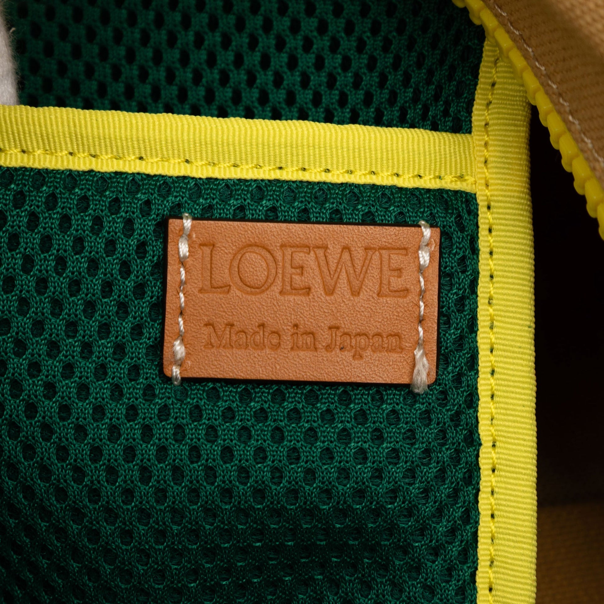 LOEWE Canvas Eye Nature Tote