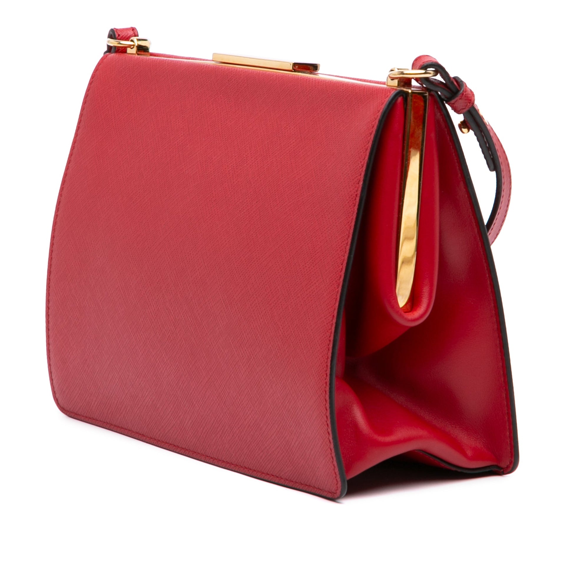 Prada Saffiano and City Calf Light Frame Crossbody
