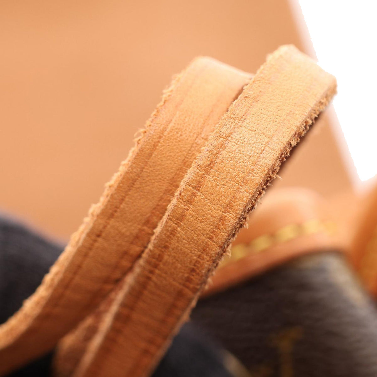 Louis Vuitton Monogram Montsouris MM — Brown
