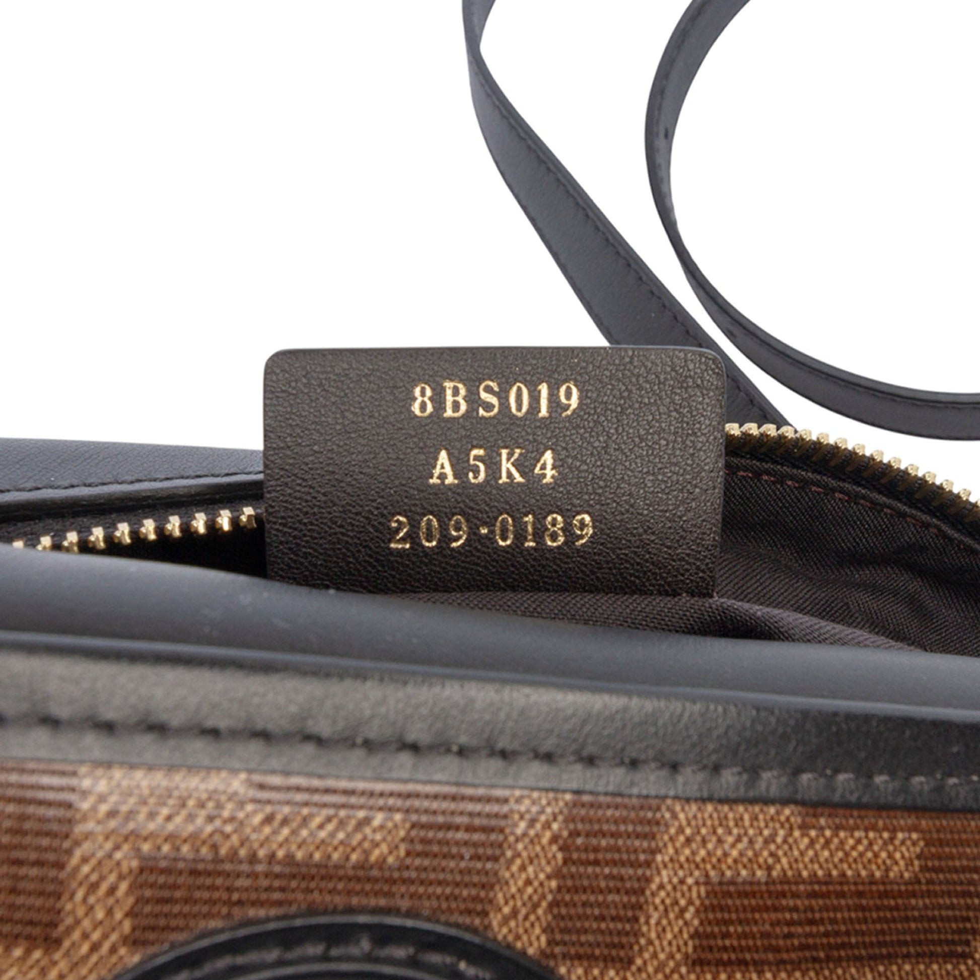 Fendi Glazed Fabric Vitello Century FF 1974 Camera Bag