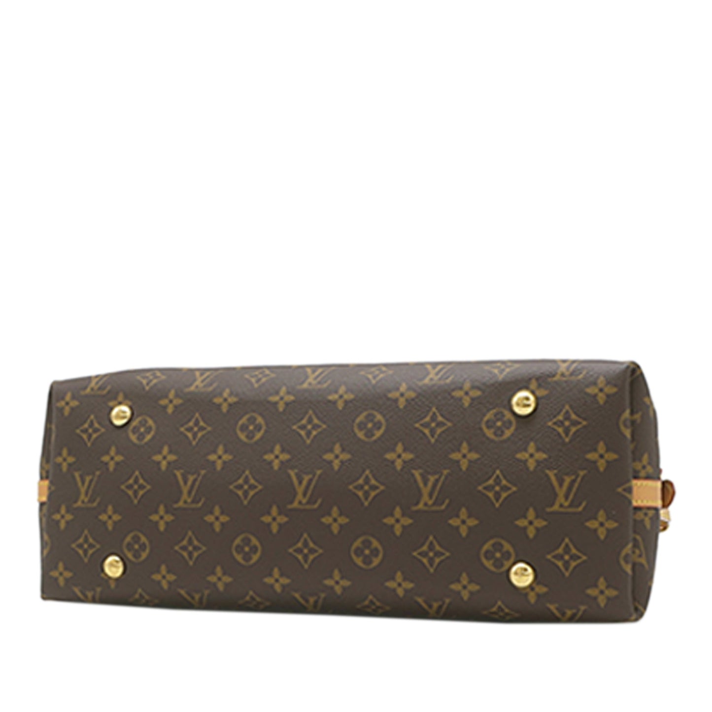 Louis Vuitton Monogram CarryAll MM