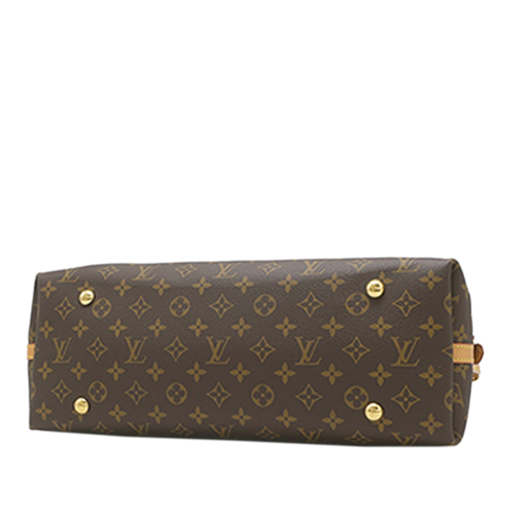 Louis Vuitton Monogram CarryAll MM