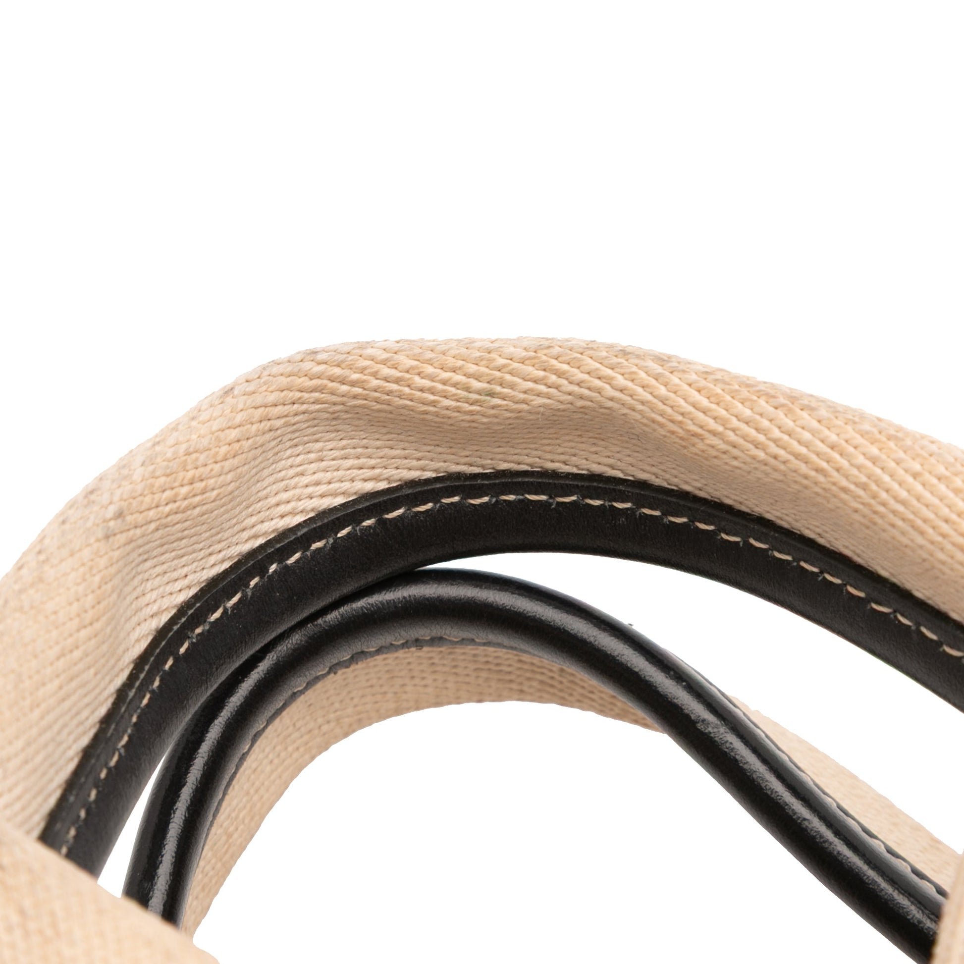 Chloé Small Canvas Woody Tote