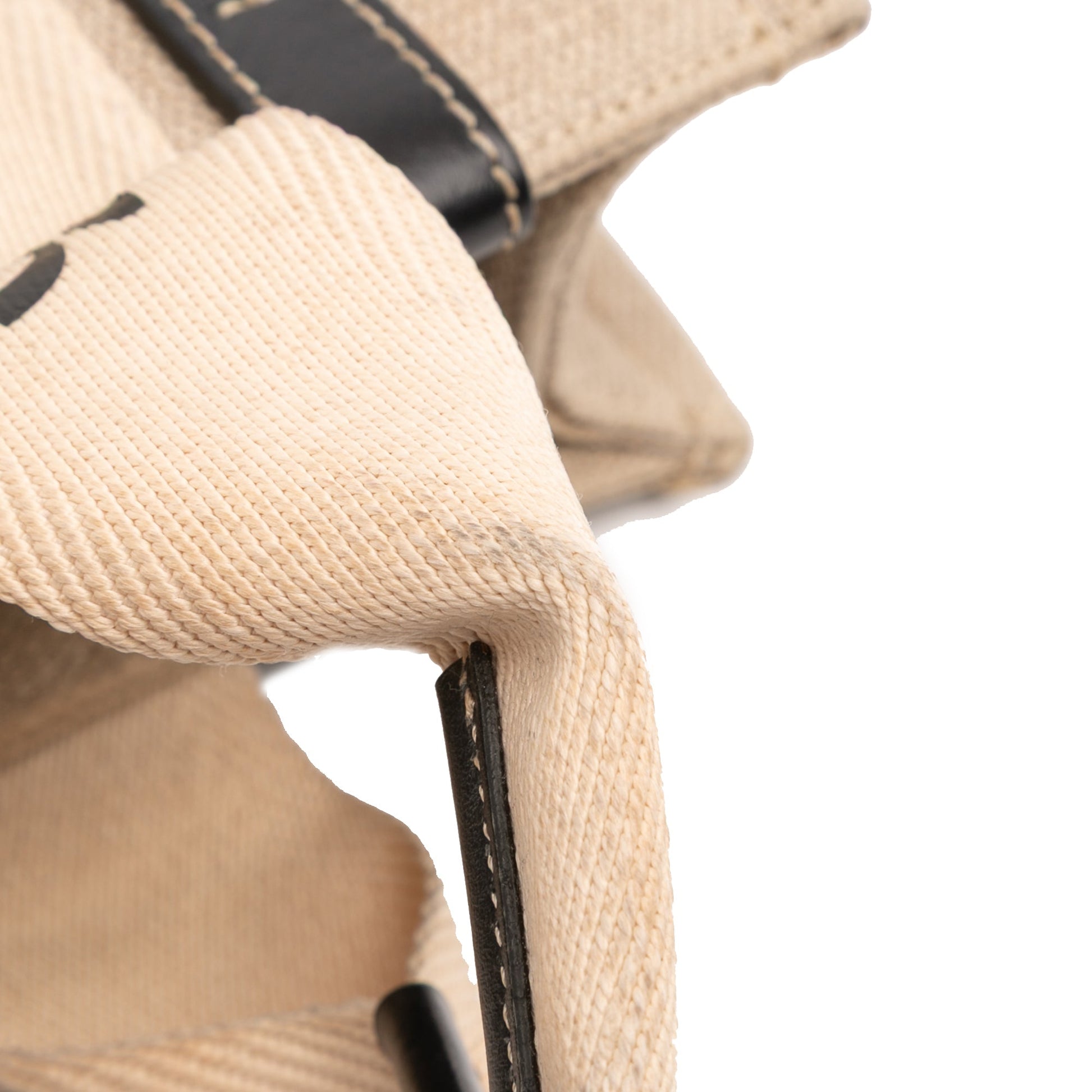Chloé Small Canvas Woody Tote