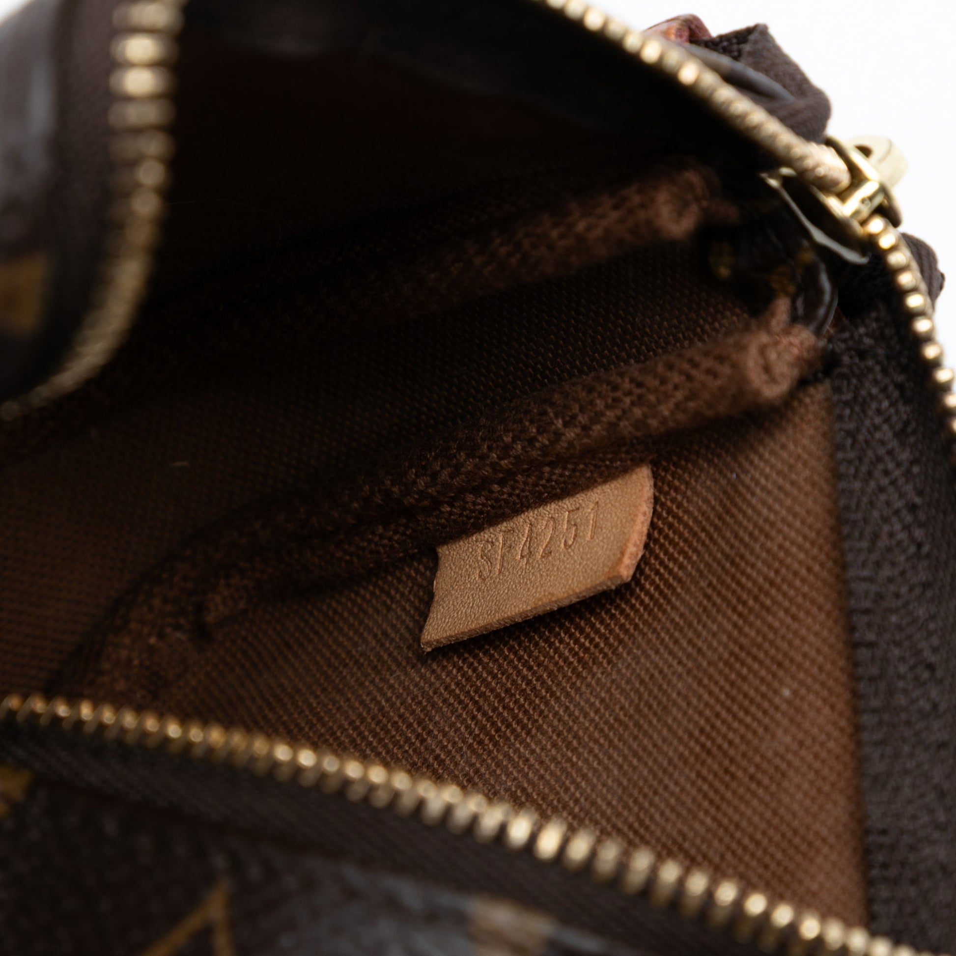 Louis Vuitton Monogram Mini Pochette Accessoires