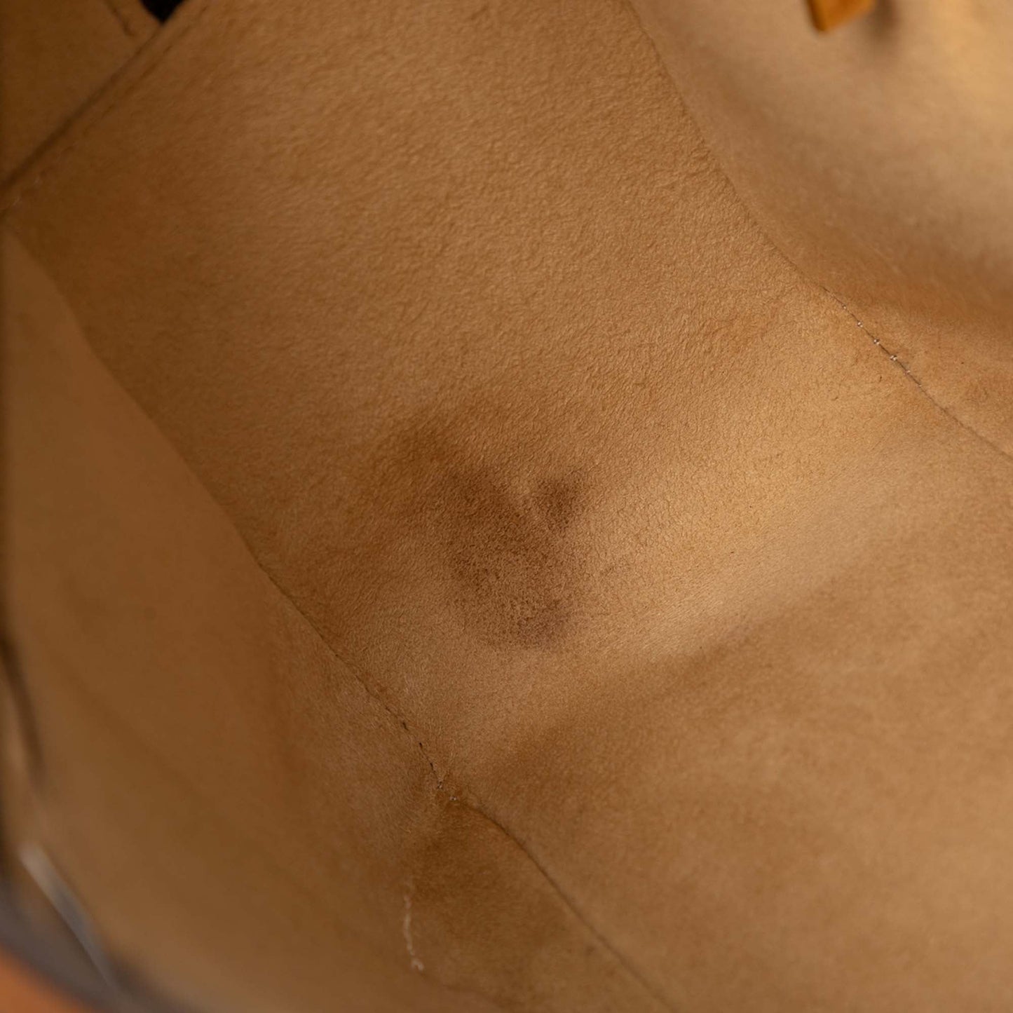 Louis Vuitton Monogram Cite GM