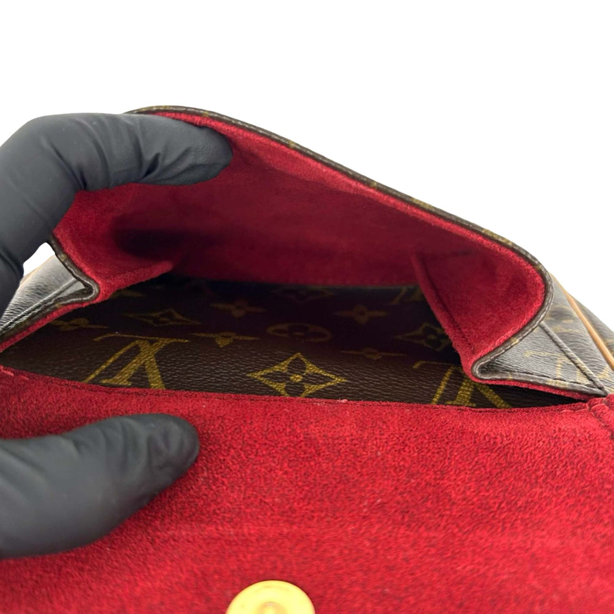 Louis Vuitton Monogram Viva Cite PM