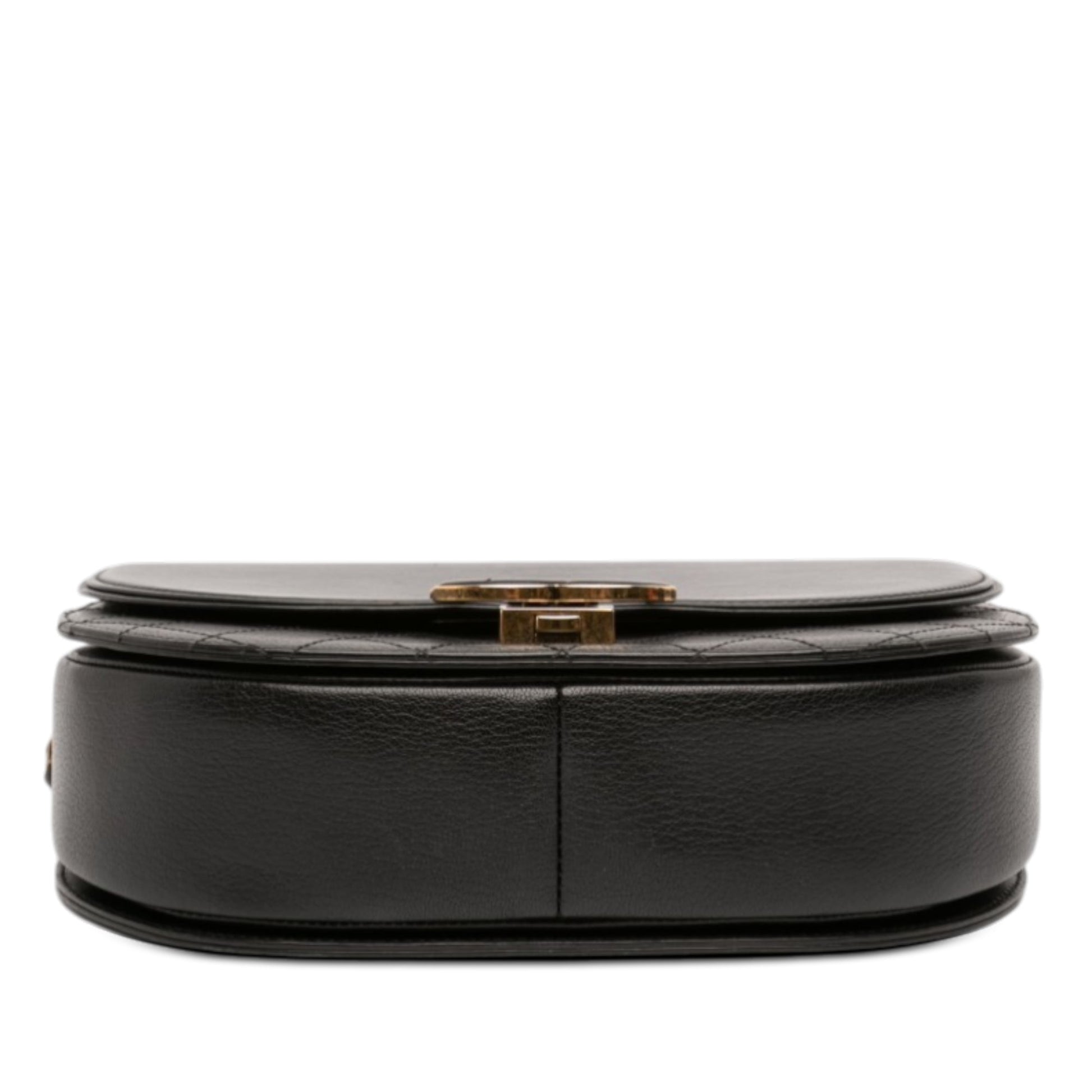Chanel Medium Shiny Calfskin and Quilted Goatskin Coco Curve Flap