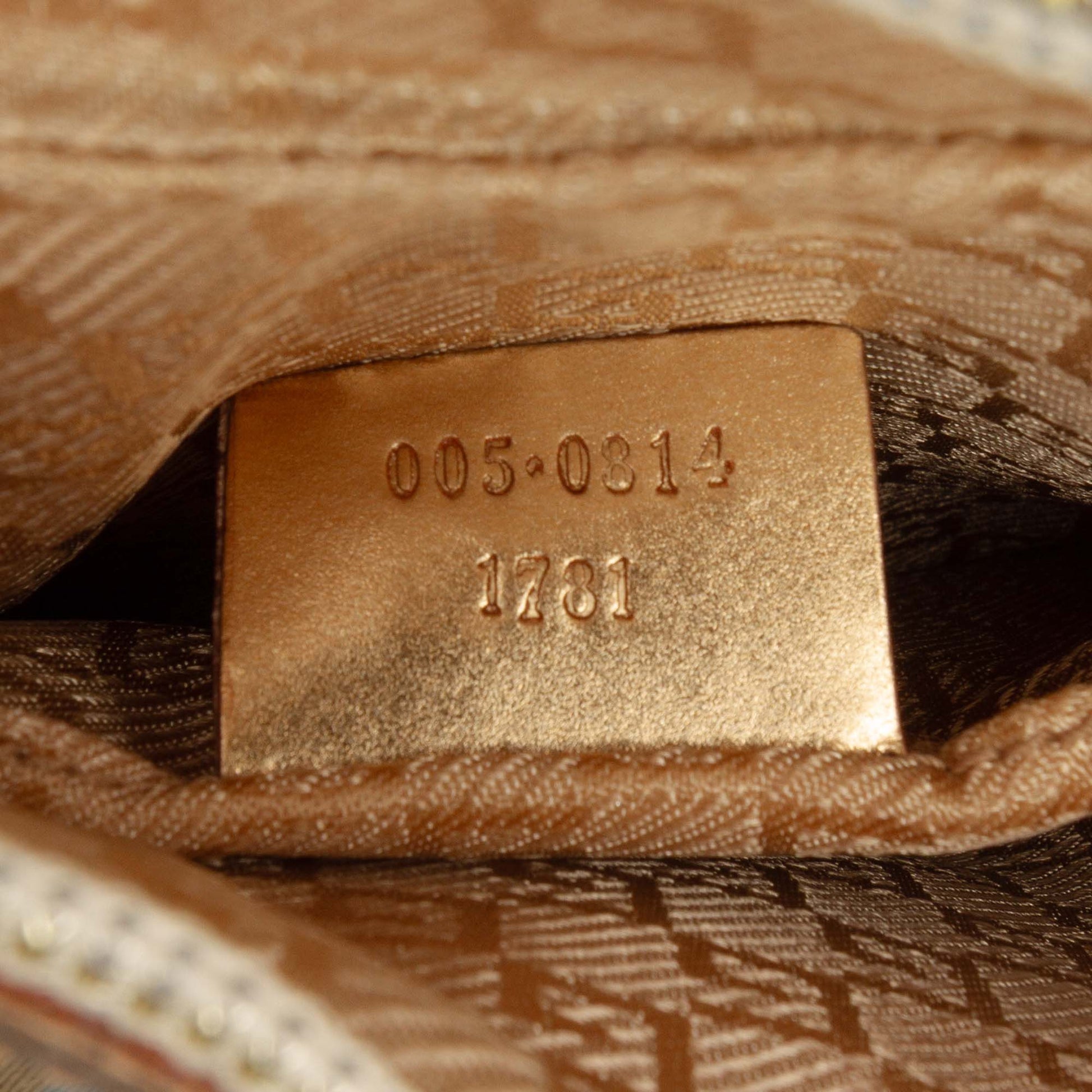 Gucci Canvas Web Hobo