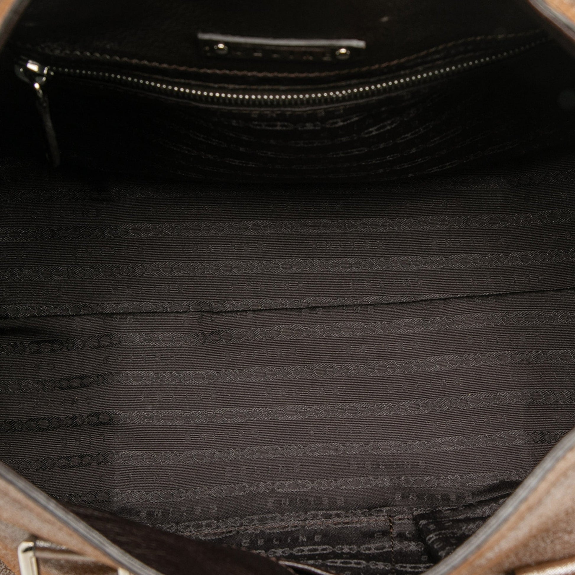 Celine Shimmer Leather Front Flap Shoulder Bag
