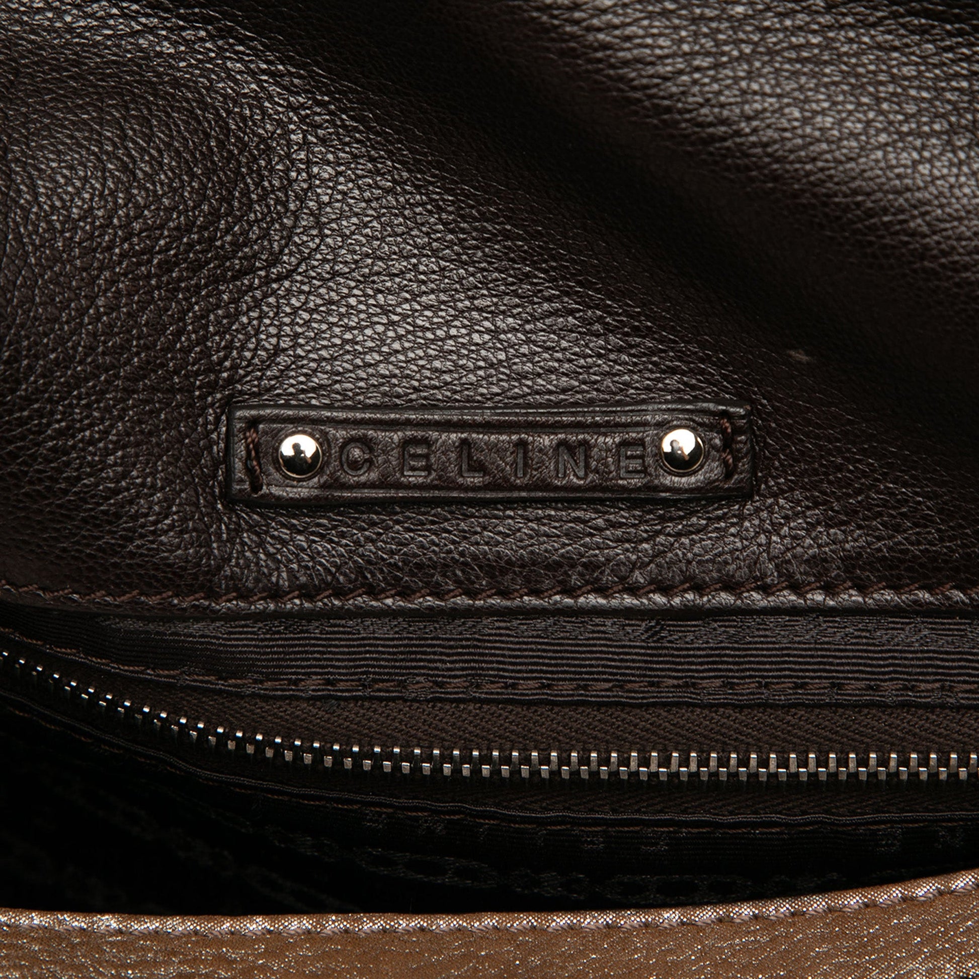 Celine Shimmer Leather Front Flap Shoulder Bag
