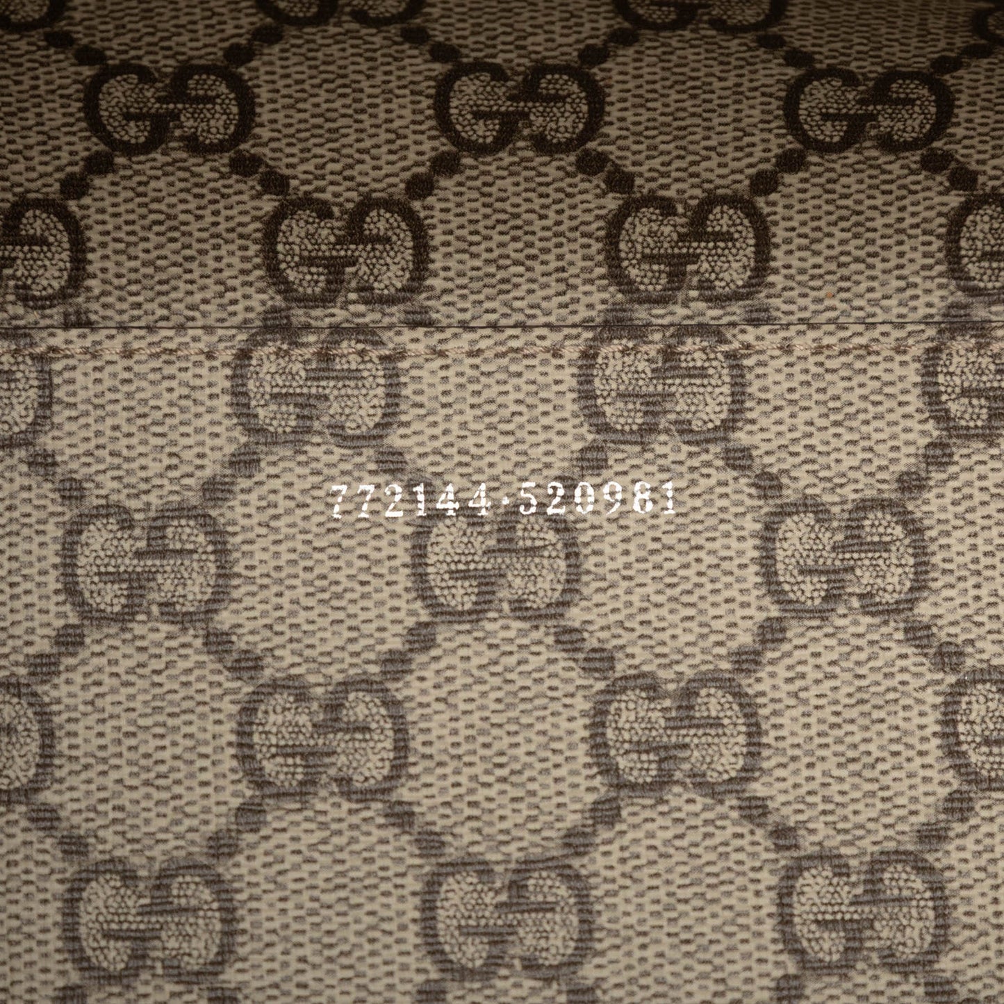 Gucci Medium Canvas Logo Tote