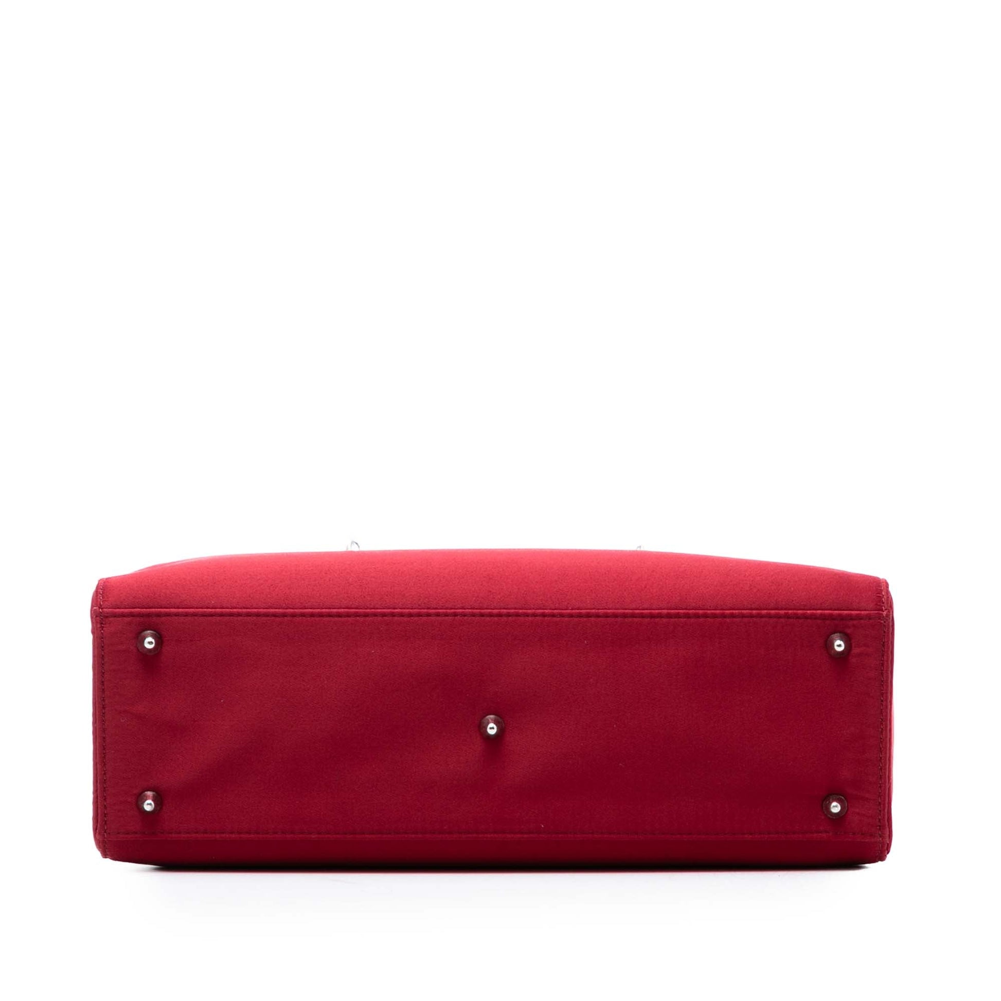 Large Satin Lady Dior
