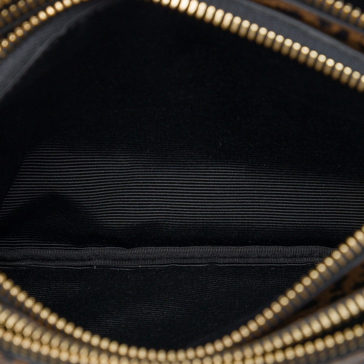 Celine Small Leopard Printed Goatskin Crossbody