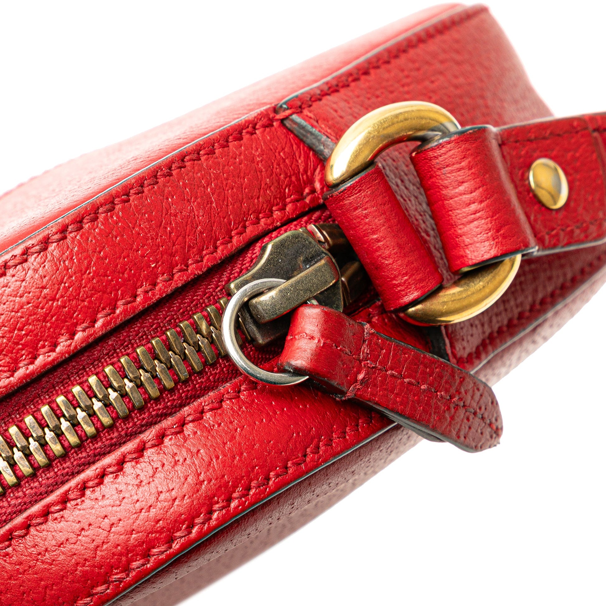 Gucci Leather Animalier Web Disco Crossbody