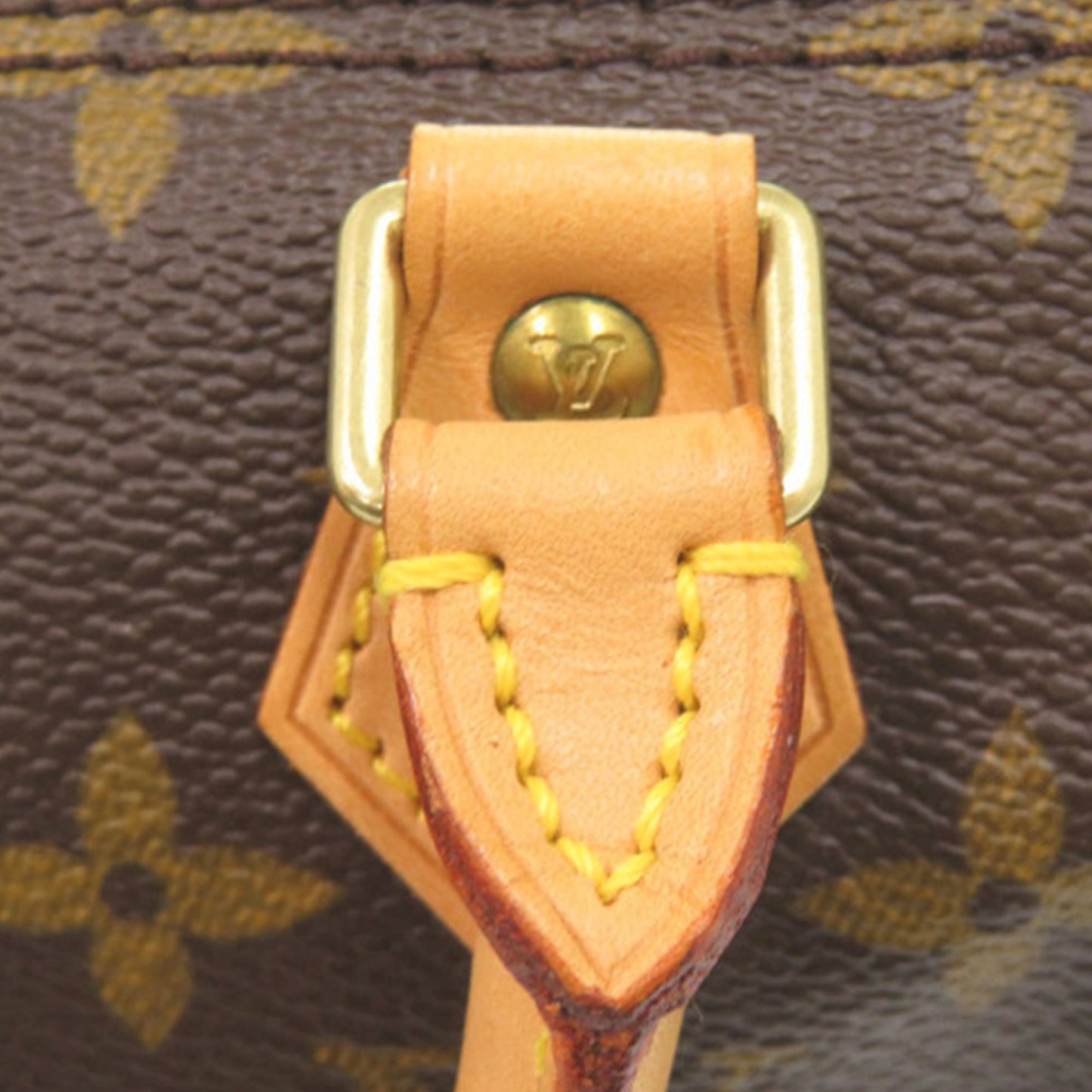 Louis Vuitton Monogram Mini Speedy HL