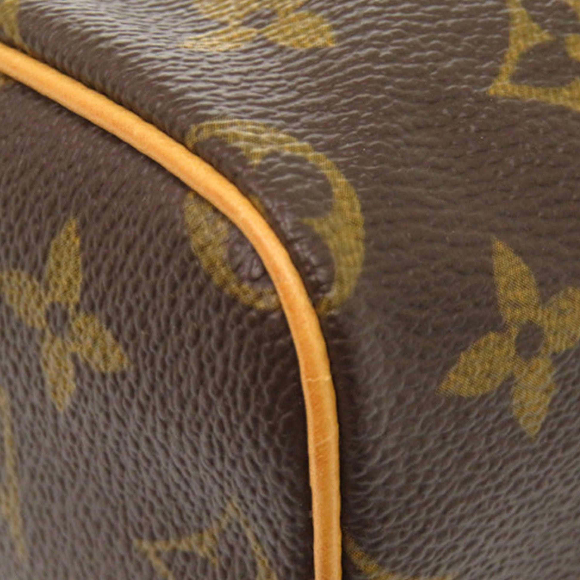 Louis Vuitton Monogram Mini Speedy HL
