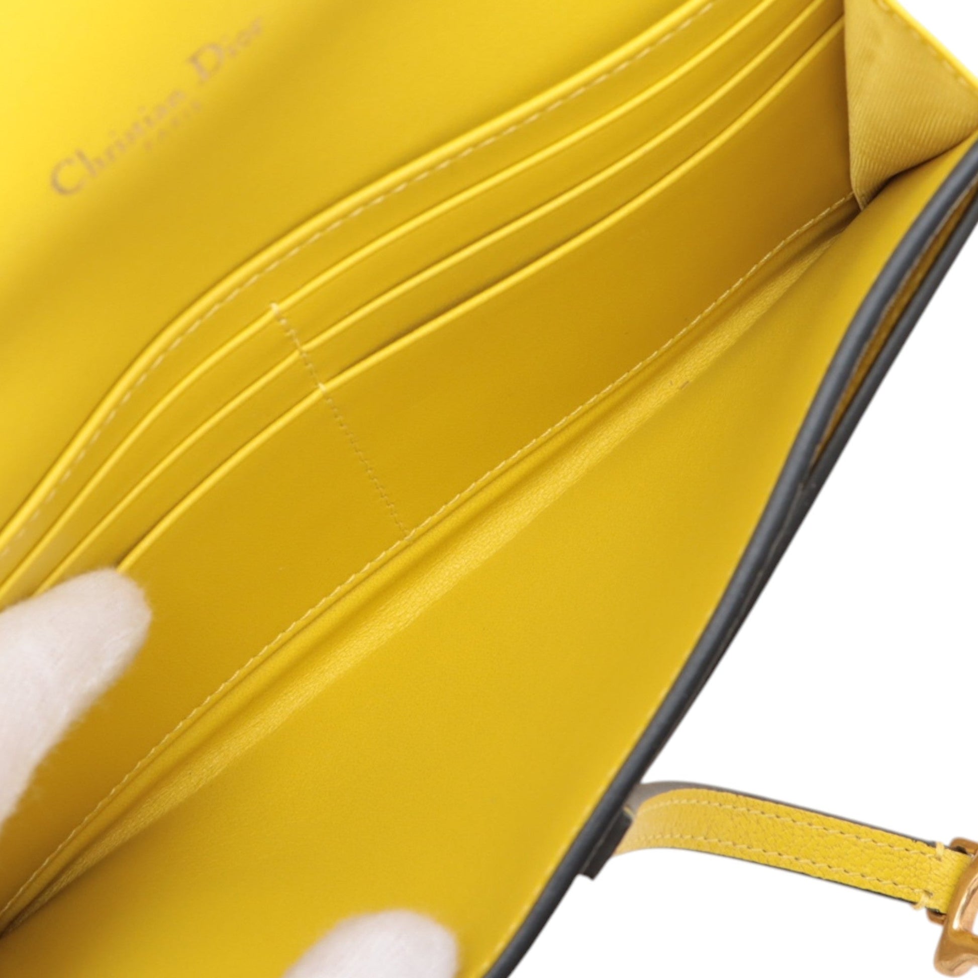 Dior Calfskin Saddle Wallet On Chain